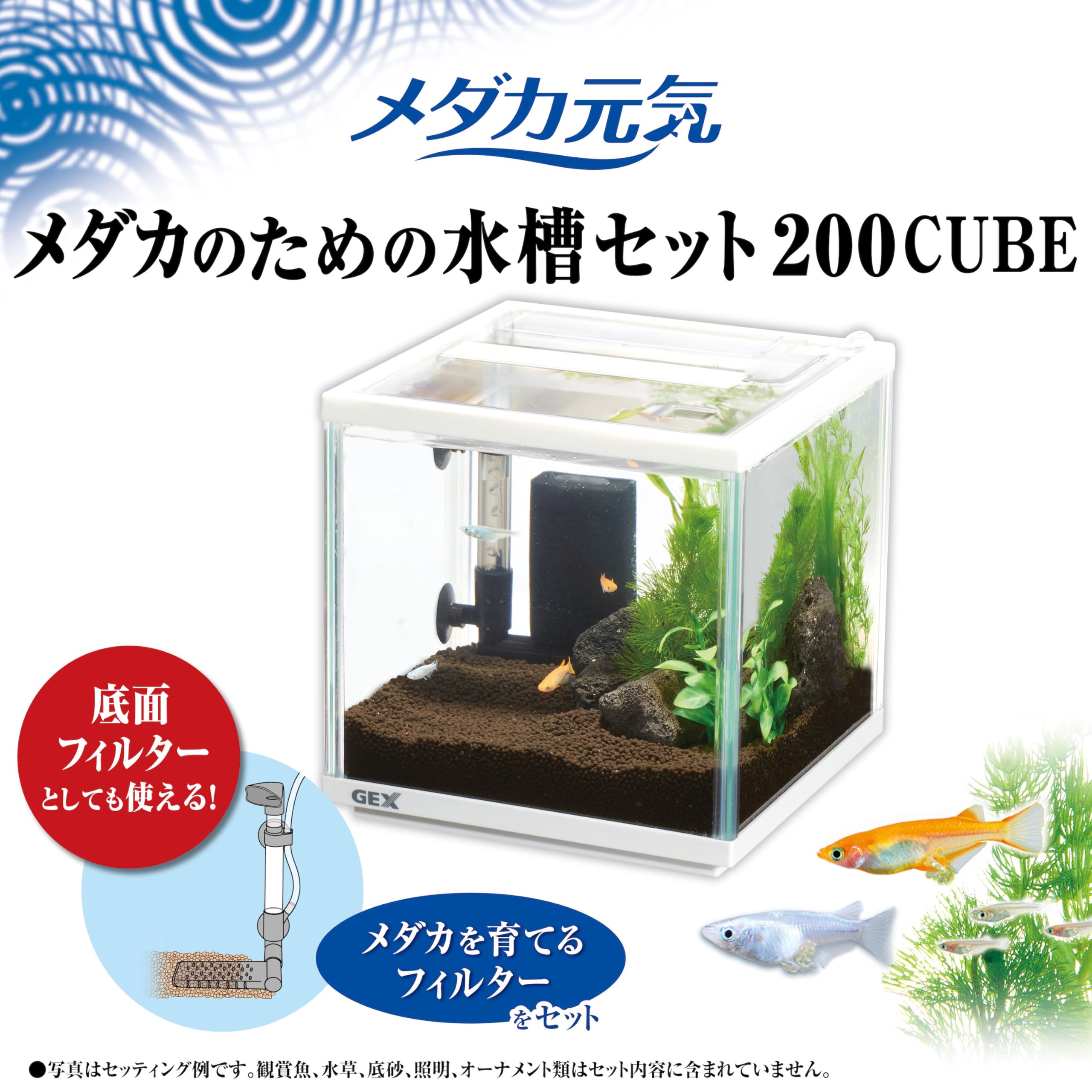 【購入者決まりました】メダカ、水槽セット【今月末まで】事情により飼育場縮小の為 メダカ元気 メダカのための水槽セット400: 100｜業務用トリミング用品