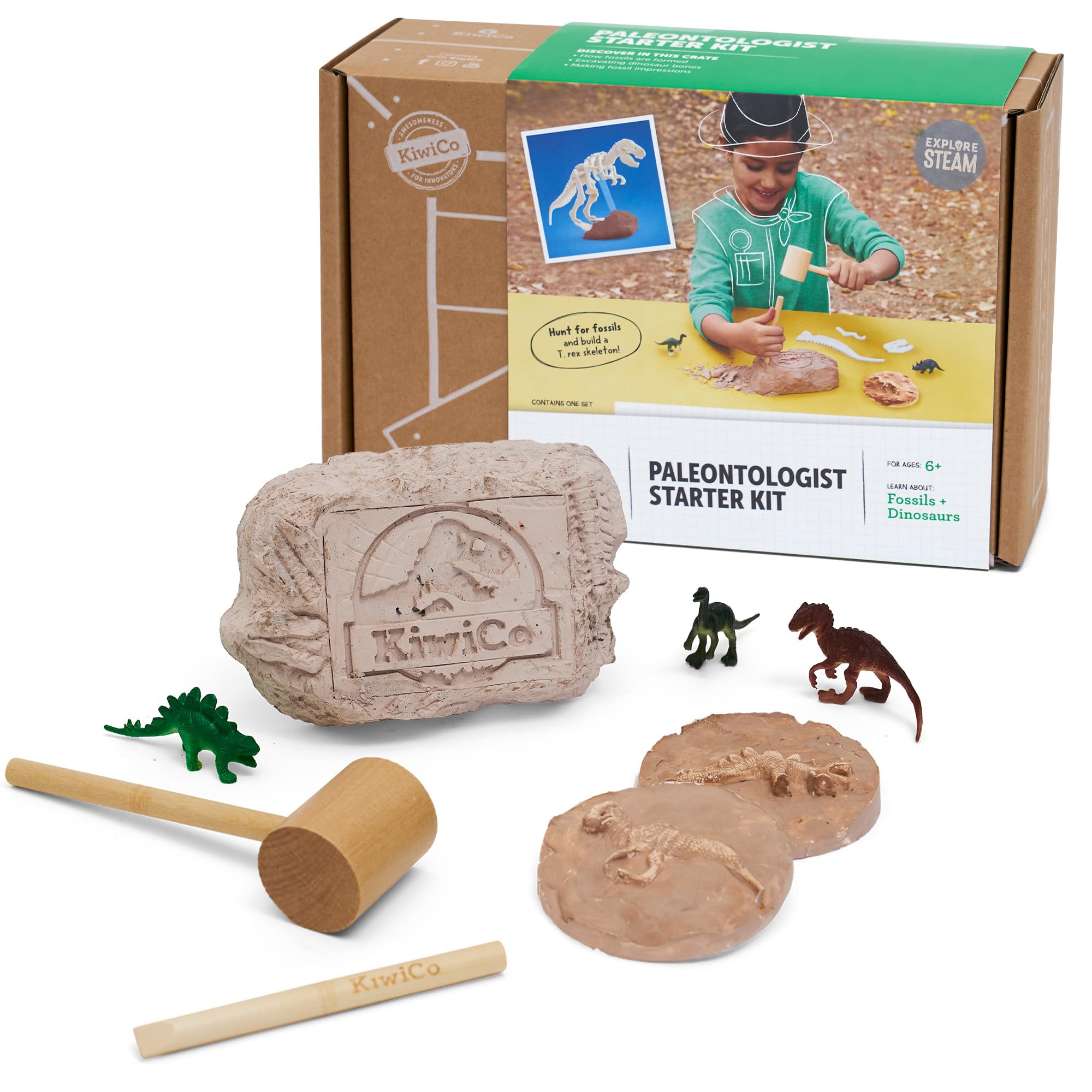 KiwiCo Dinosaur Fossil Dig Kit for Kids Age 6+ | Excavate & Build Skeleton, Make Fossil Impressions | STEM Paleontology Science Kit with Dinosaur Facts Poster
