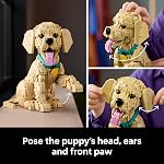 LEGO Icons Chiot Golden Retriever Ensemble de Construction pour Adultes, 18 ans et plus - Décor pour Maison, Chambre ou Étagère - Cadeaux pour Femmes & Hommes - Figurine de Chien Articulée - 11384