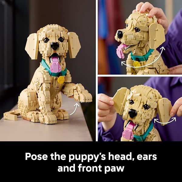 LEGO Icons Golden Retriever Puppy Building Set for Adults, Ages 18+ - Gift for Mothers Day - Decor for Home, Bedroom, or Book Shelf - Posable Dog Figure - 11384 - 4
