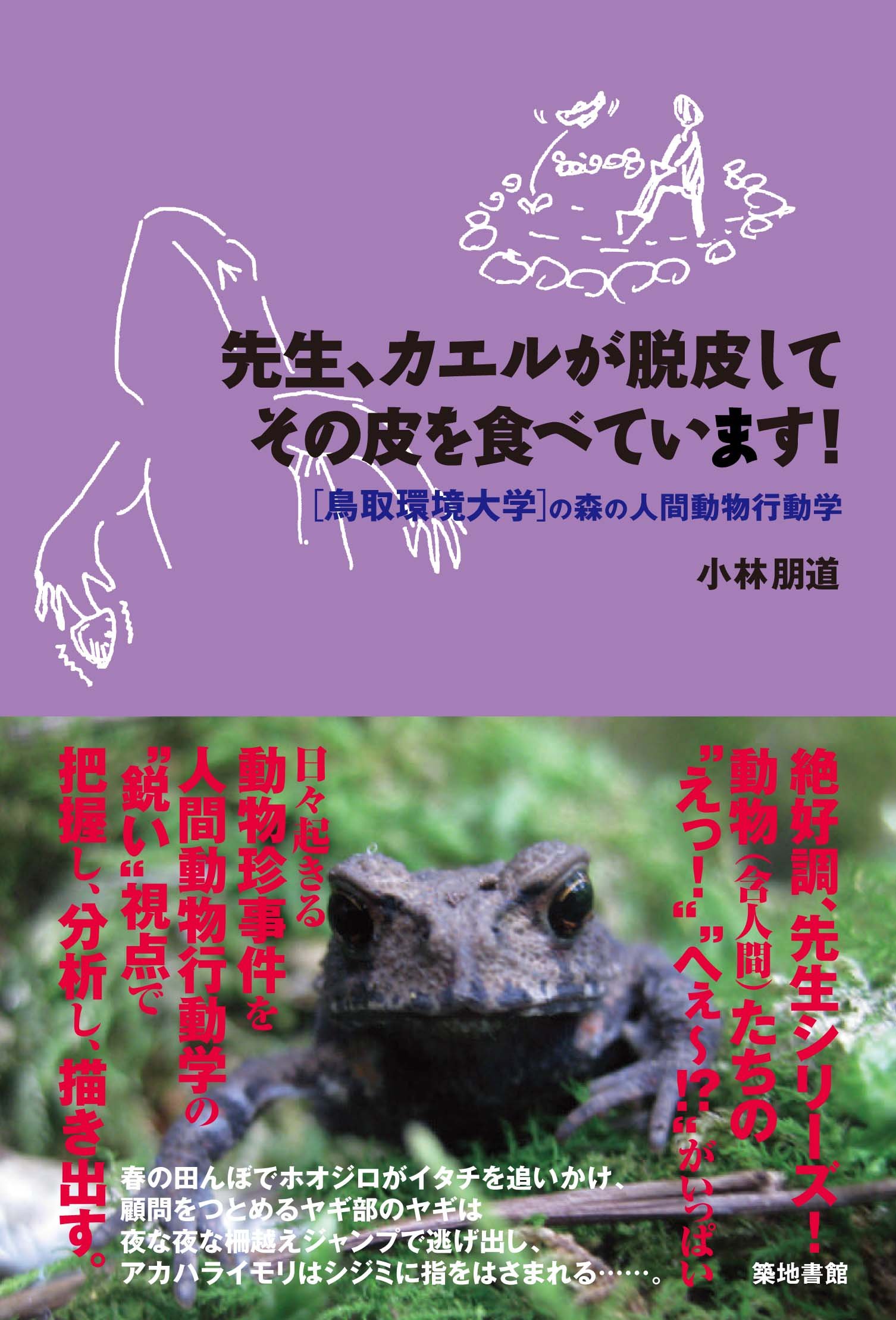 Amazon.co.jp: 先生、カエルが脱皮してその皮を食べています! 鳥取環境