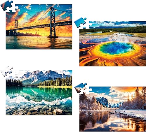 Paquete de 4 rompecabezas de 36 piezas grandes para adultos, rompecabezas para adultos mayores con demencia de Alzheimer, productos de Alzheimer,