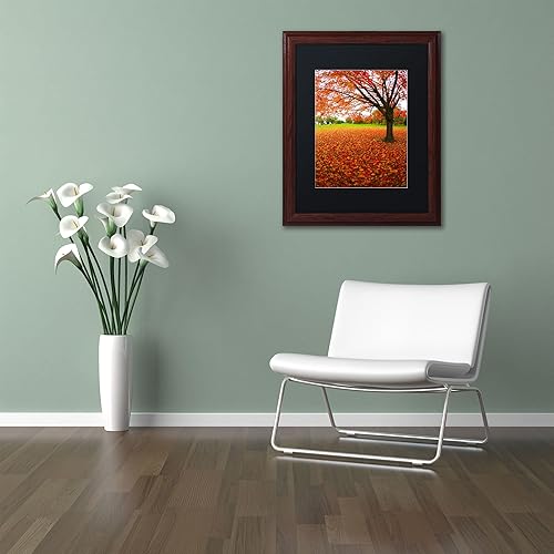 Miniatura 3 de Autumn Expressions Black Matte Artwork by CATeyes, 16 x 20 pulgadas, marco de madera