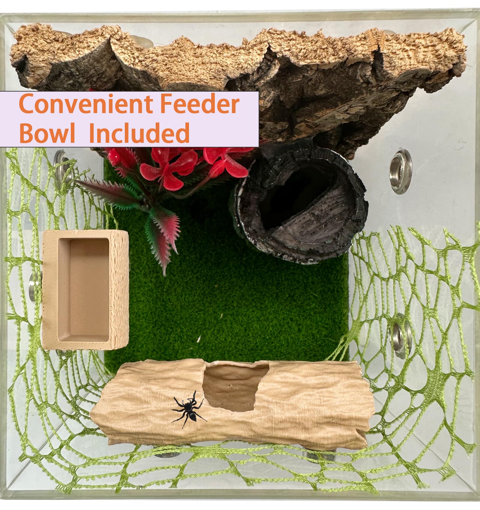 6Pcs Jumping Spider Accessories Set,Tree Jumping Spider Climbing Toy with Cave - Image 3