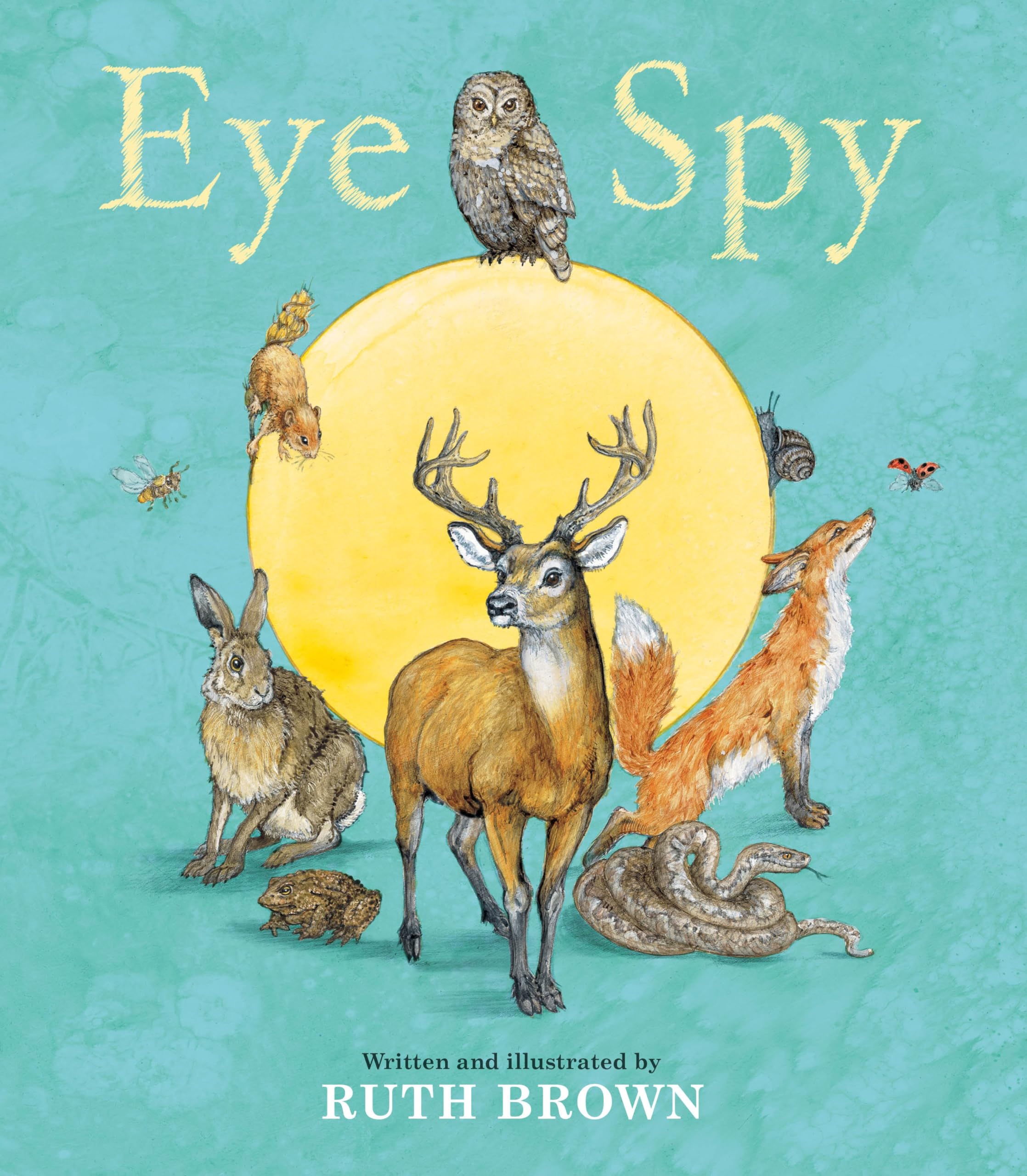 Eye Spy: beautiful picture book seek-and-find twist on the favourite childhood game