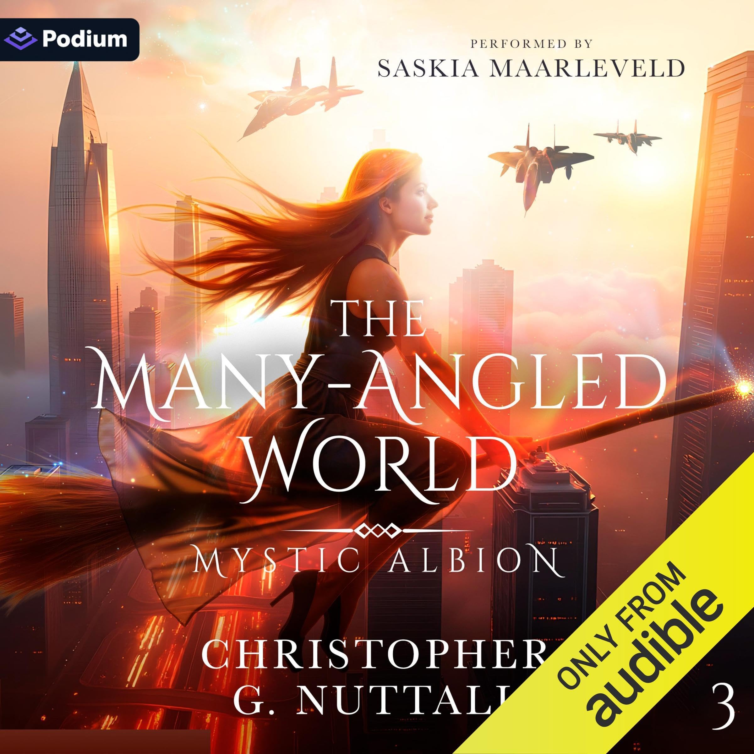 Cover art for The Many-Angled World