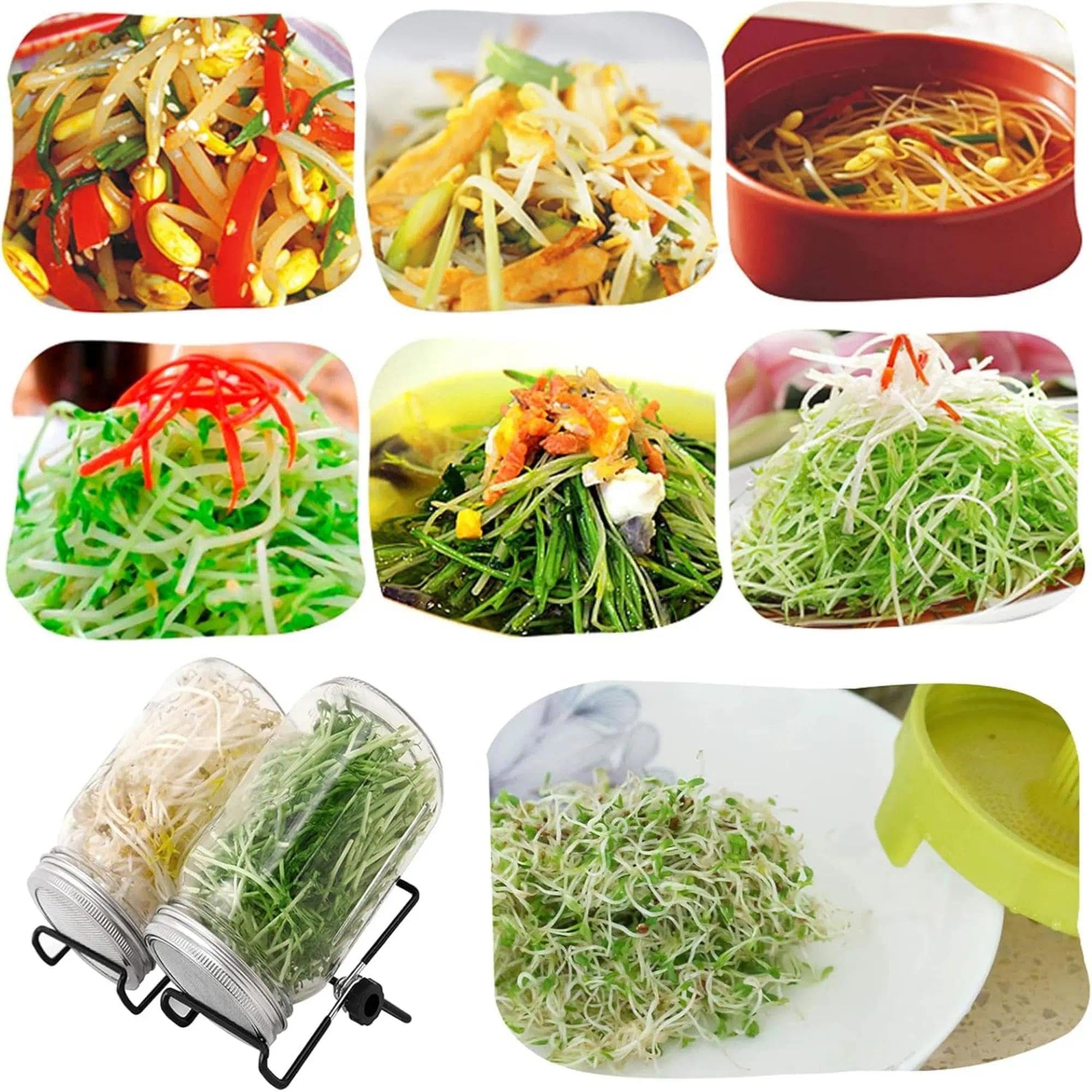 Bocal de Germination, 2 x 1000ml Germoir en Verre Bocal à Germes avec 2 Couvercle à Grille en Acier Inoxydable, 2 Support, 2 Plateau, kit de Bocal à Germes pour Brocoli Luzerne Haricots Verts