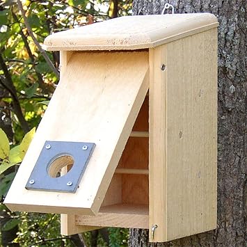 Convertible Winter Roost & Birdhouse, 2-in-1 Nest Box with Reversible Front