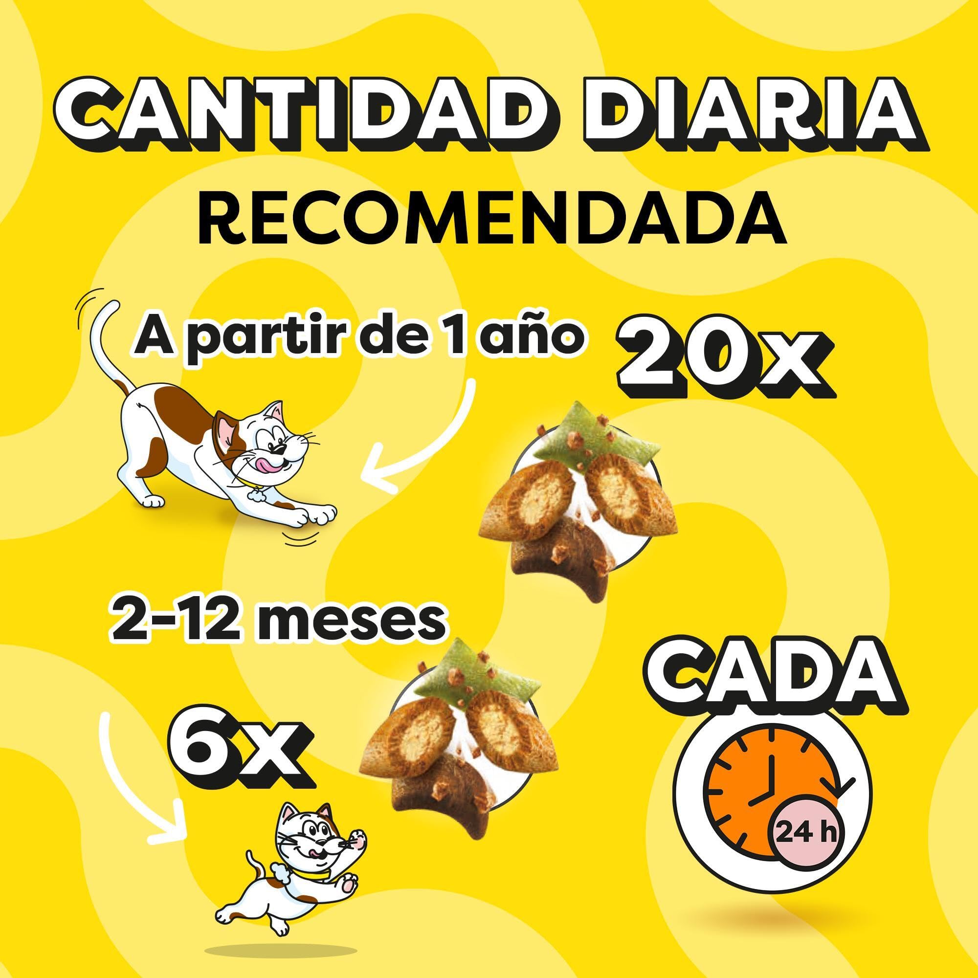 Catisfactions Premios para Gatos Sabor Aves a la Brasa 6x55g