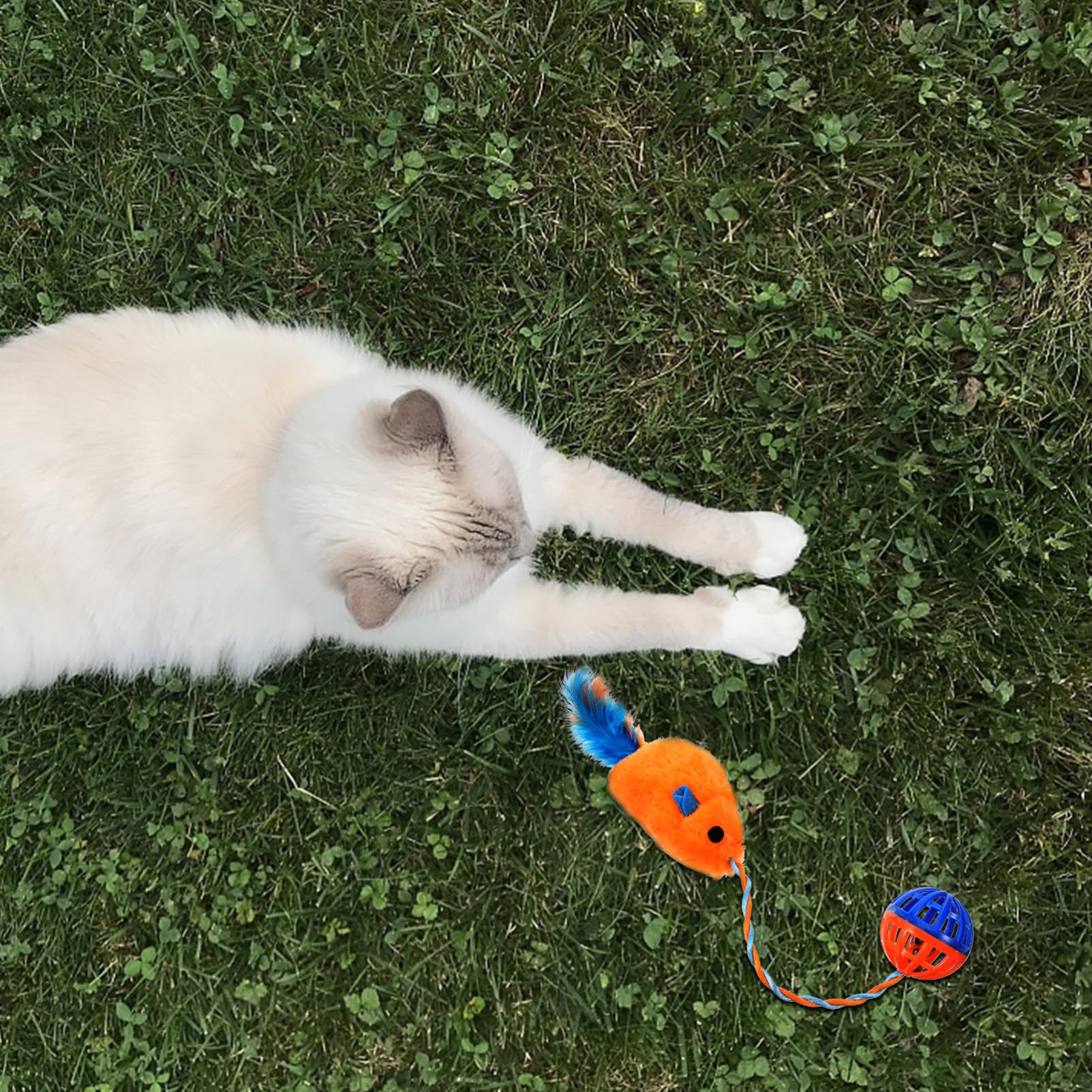 Jouet Souris pour Chaton Interactif avec Clochette en Plastique Petit Jouet Portable Orange pour Animaux Domestiques Usage Intérieur pour Chats Adultes et Chatons