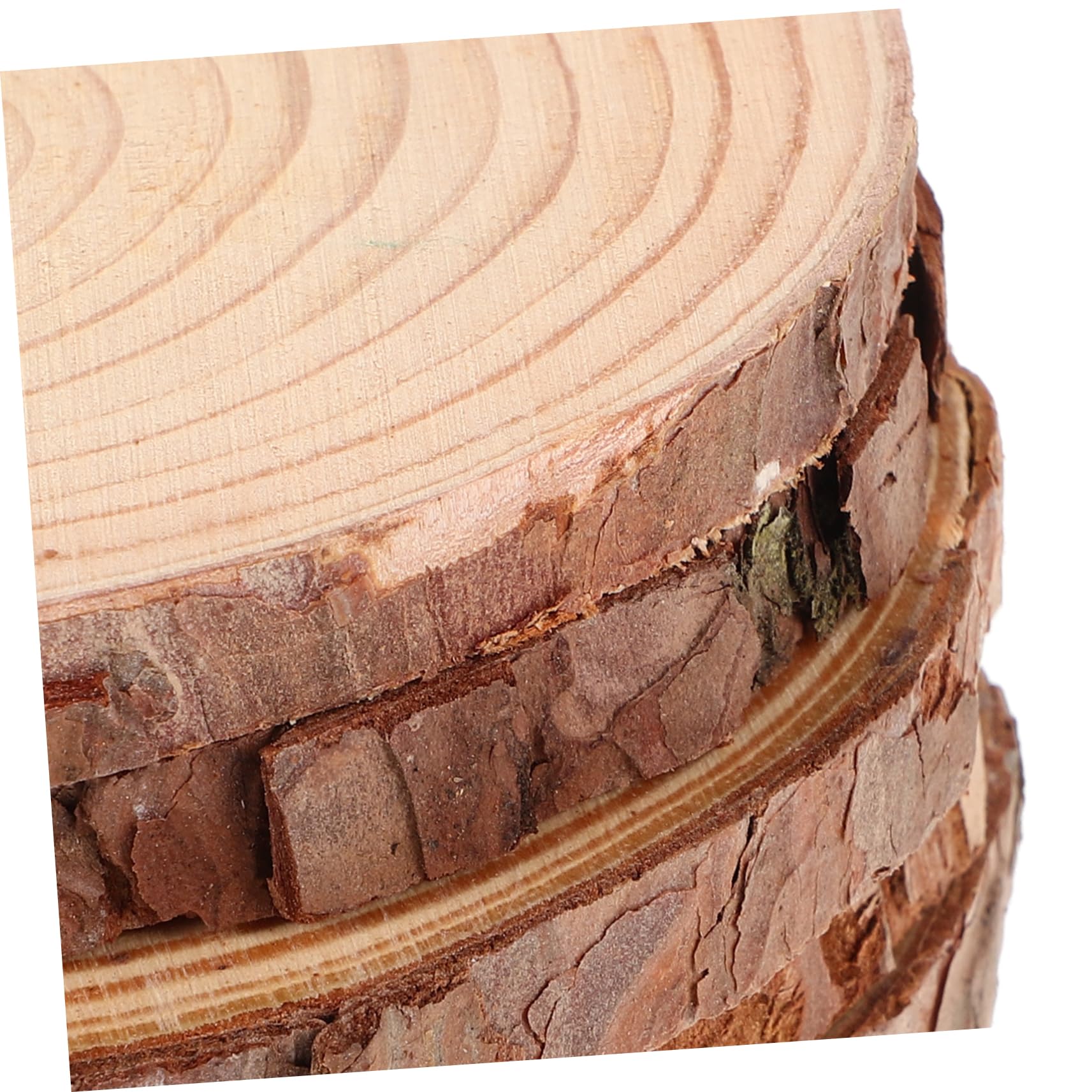 jojofuny 10pezzi Cerchi Rotondi in Legno Naturale Fette Legno Per Decorazioni Artistiche Kit Fai Da Te Per Centrotavola Dischi Non Finiti Da Matrimonio