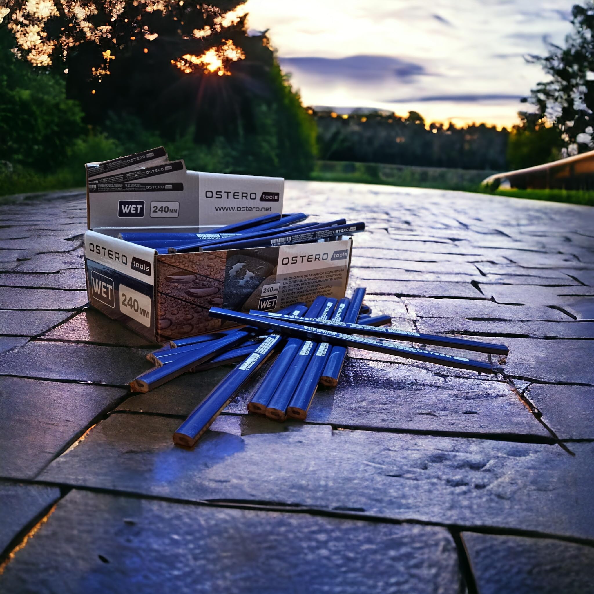 Matite da carpentiere per superficie bagnata - Matita da cantiere - Set da 100 pezzi - Matite piatte - Lunghezza 240 mm - Colore cassa: blu scuro - Durezza WET - Matita OLO2112