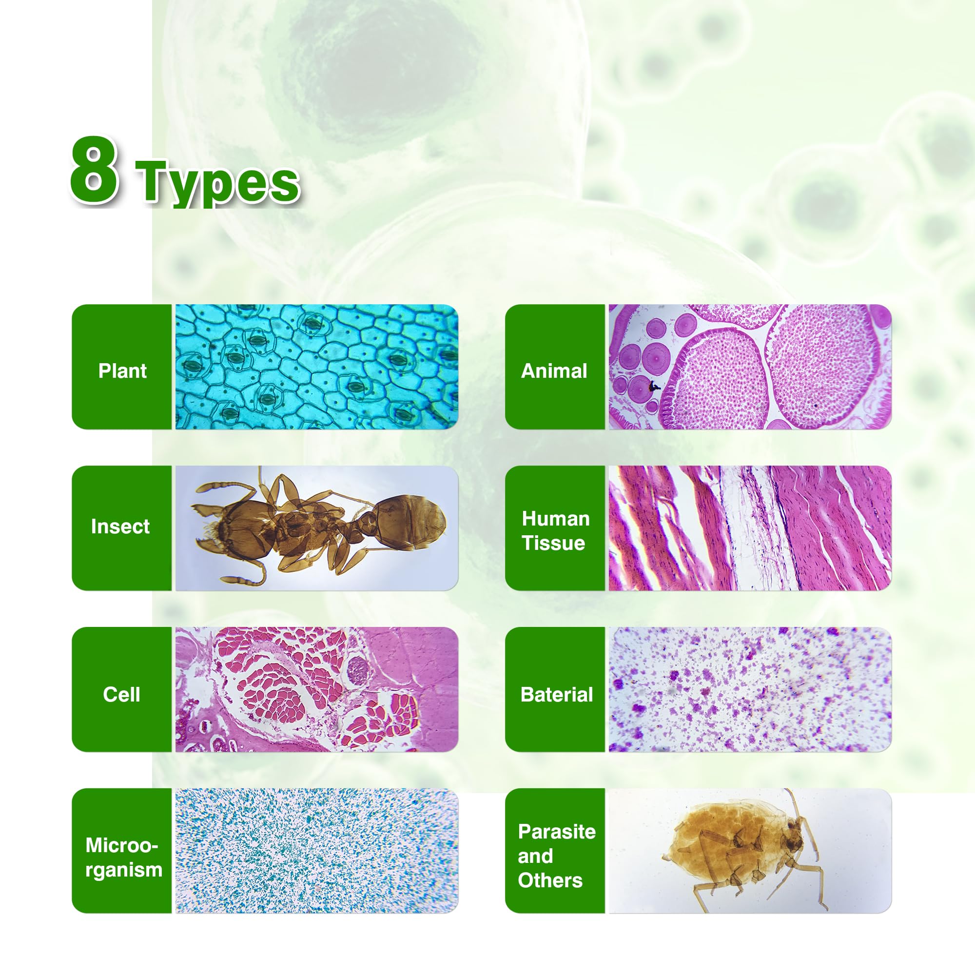 Snapklik.com : 120 Microscope Slides