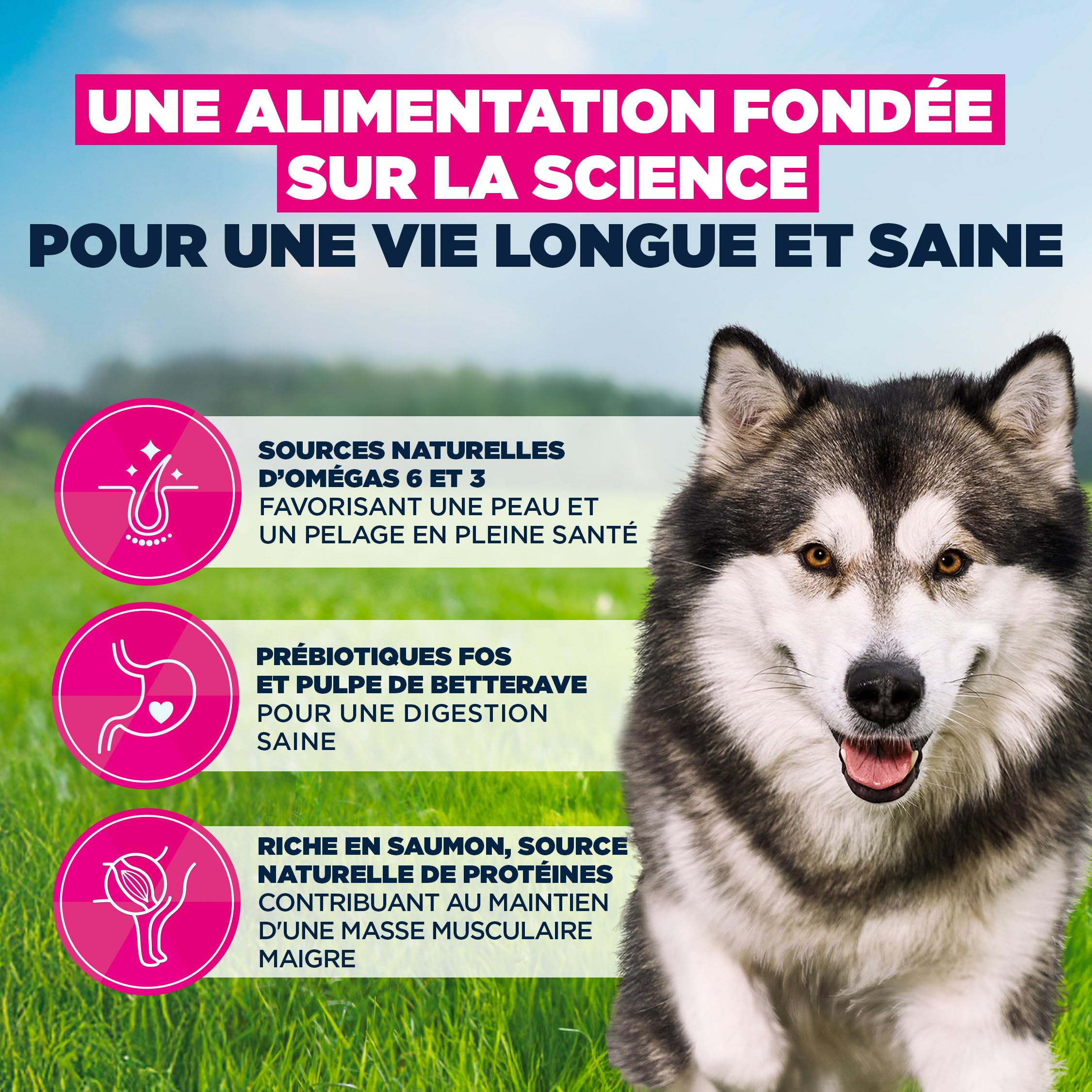 EUKANUBA Life Care Chien Grande Race Saumon Orge 12 kg | Nourriture sèche de qualité supérieure pour chiens adultes