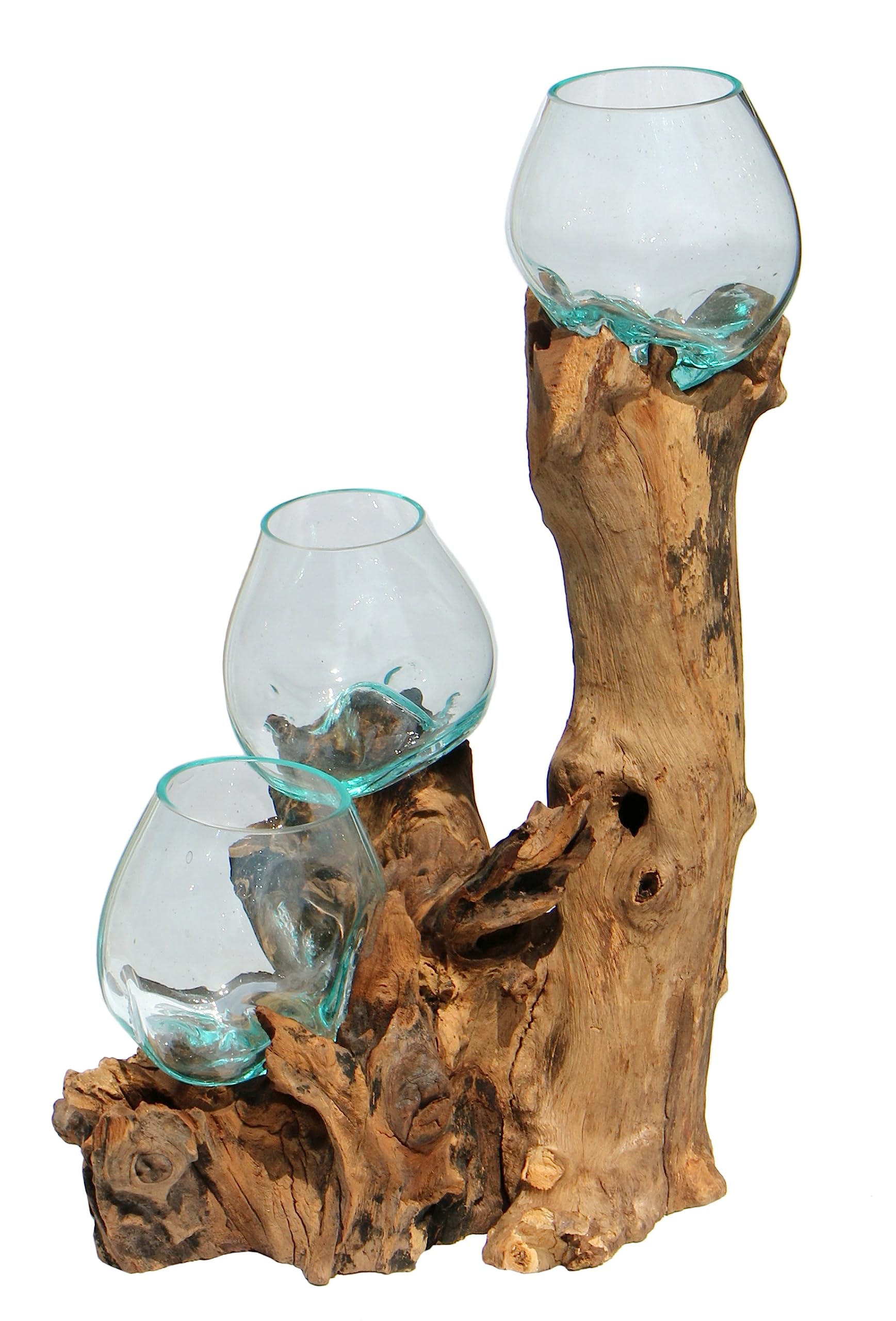 3er Glas-Vase auf Wurzel-Holz Gamal - im modernen Style aus Holz als Geschenk-Idee zu Weihnachten Geburtstag Dekoration (TRIO10 (Ø Glas 10 cm))