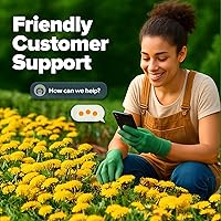 Vista 363 de HOME GROWN Más de 1000 semillas de cilantro para plantar en interiores o exteriores, hierbas tradicionales sin OMG, semillas de plantas de cilantro