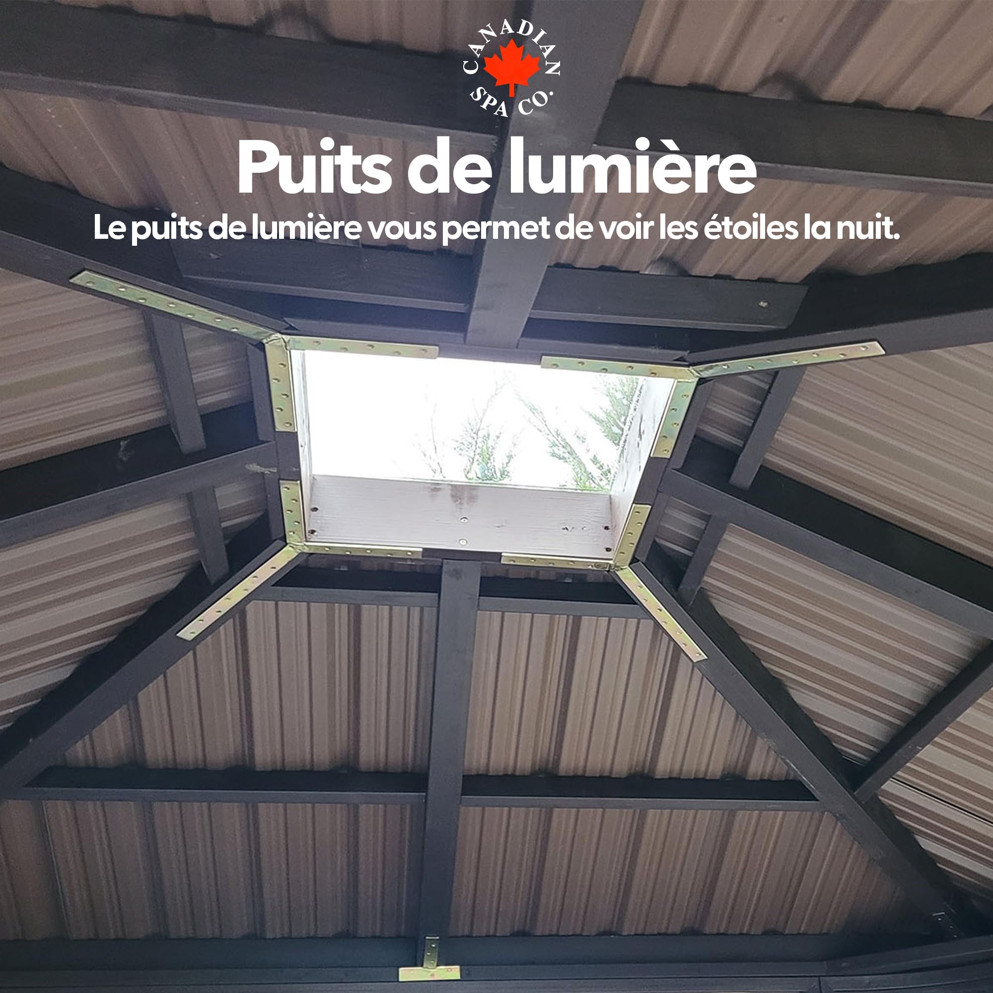 CANADIAN SPA CO. Pavillon de Piscine autoportant Fraser en Brun, pavillon de Bain Tourbillon avec Bar, fenêtre à persiennes et puits de lumière.