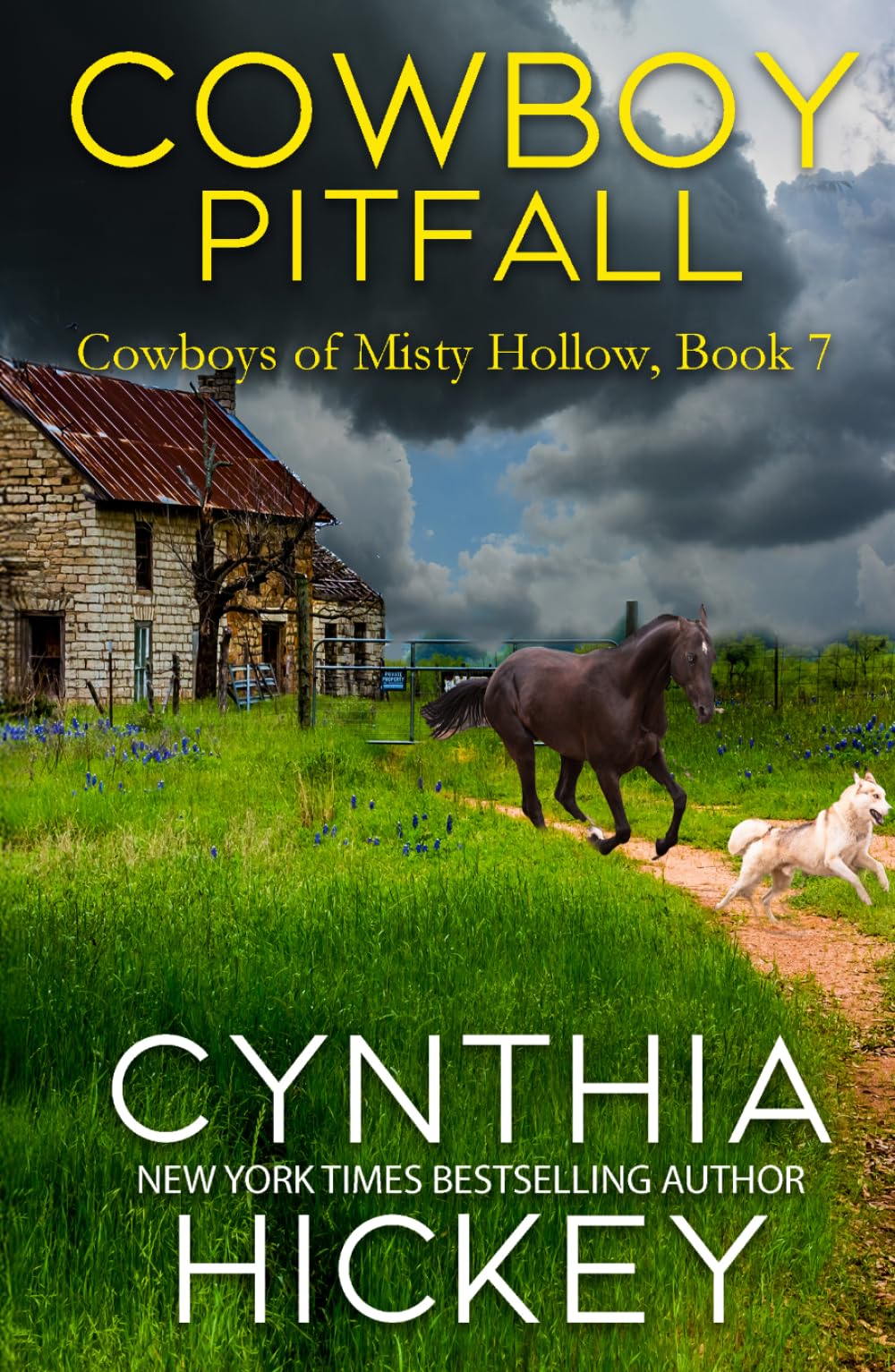 Cowboy Pitfall: A small-town romantic suspense (The Cowboys of Misty Hollow)