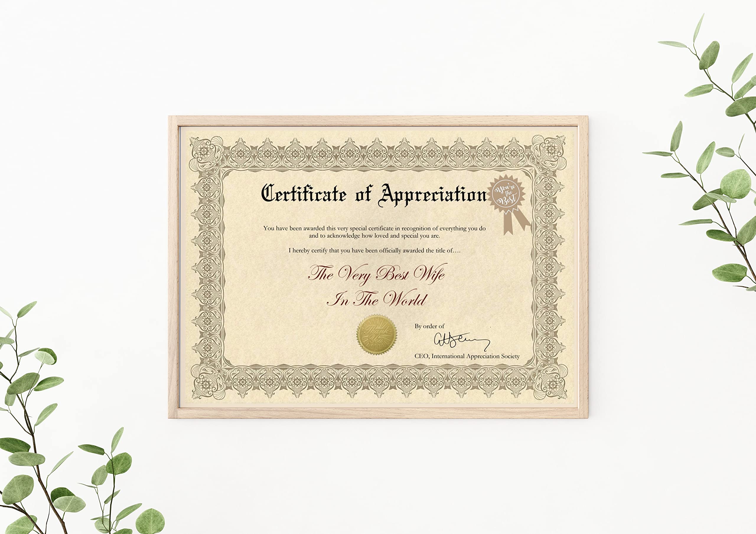 Wife Certificate of Appreciation Valentines Gift Funny Gift for her