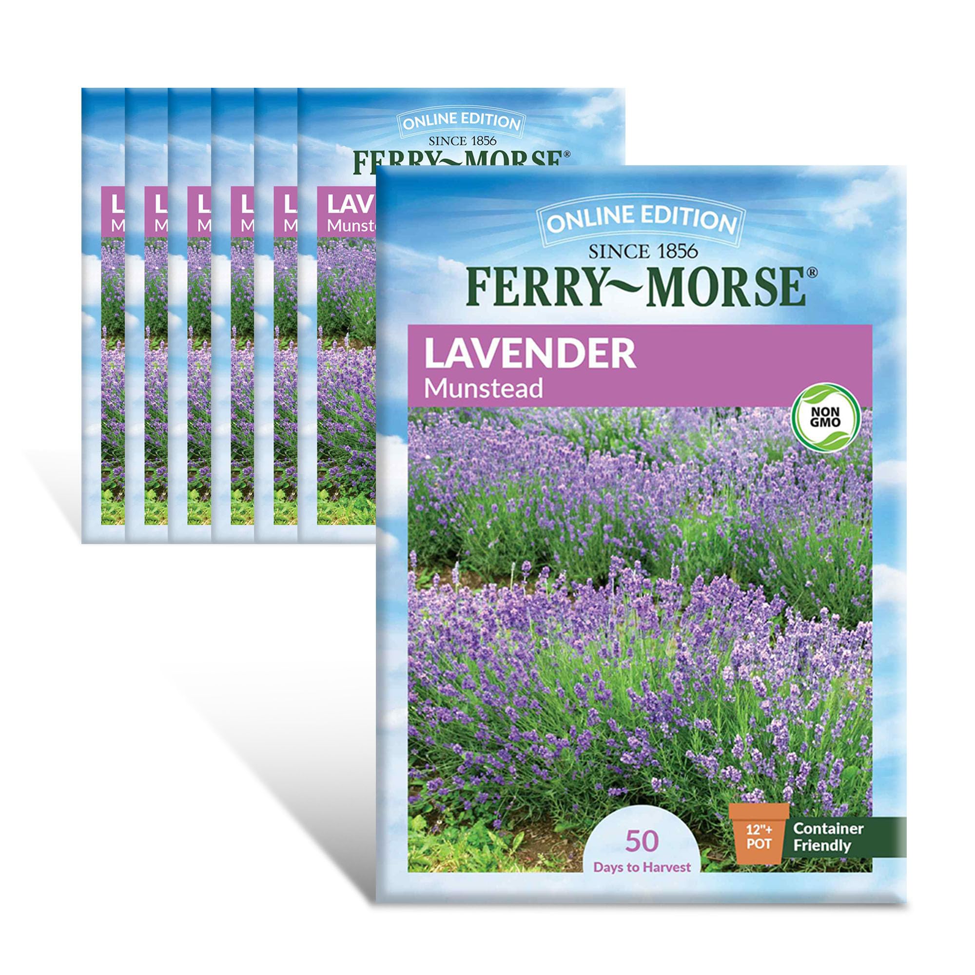 Ferry-Morse Online Edition Lavender Munstead Seed Multipack Flowering Plants - Attracts Pollinators, Full Sun, GMO Free - 7 Pack - Seeds