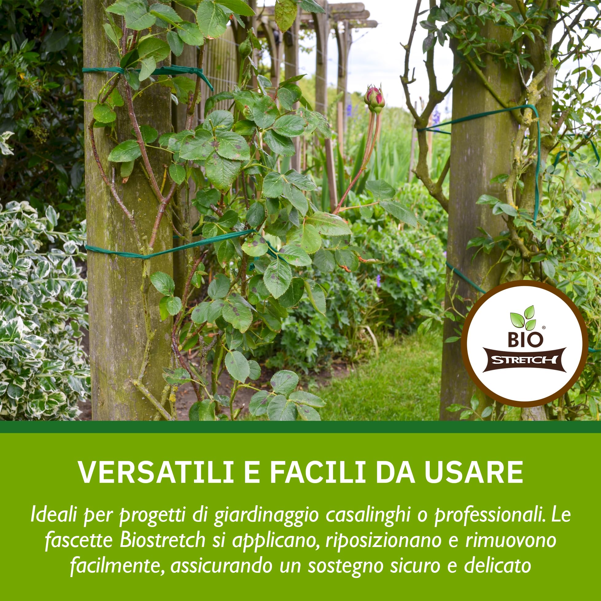 Bio-stretch Fascette da Giardino Morbide 20m Verde per Piante Rampicanti e Pomodori