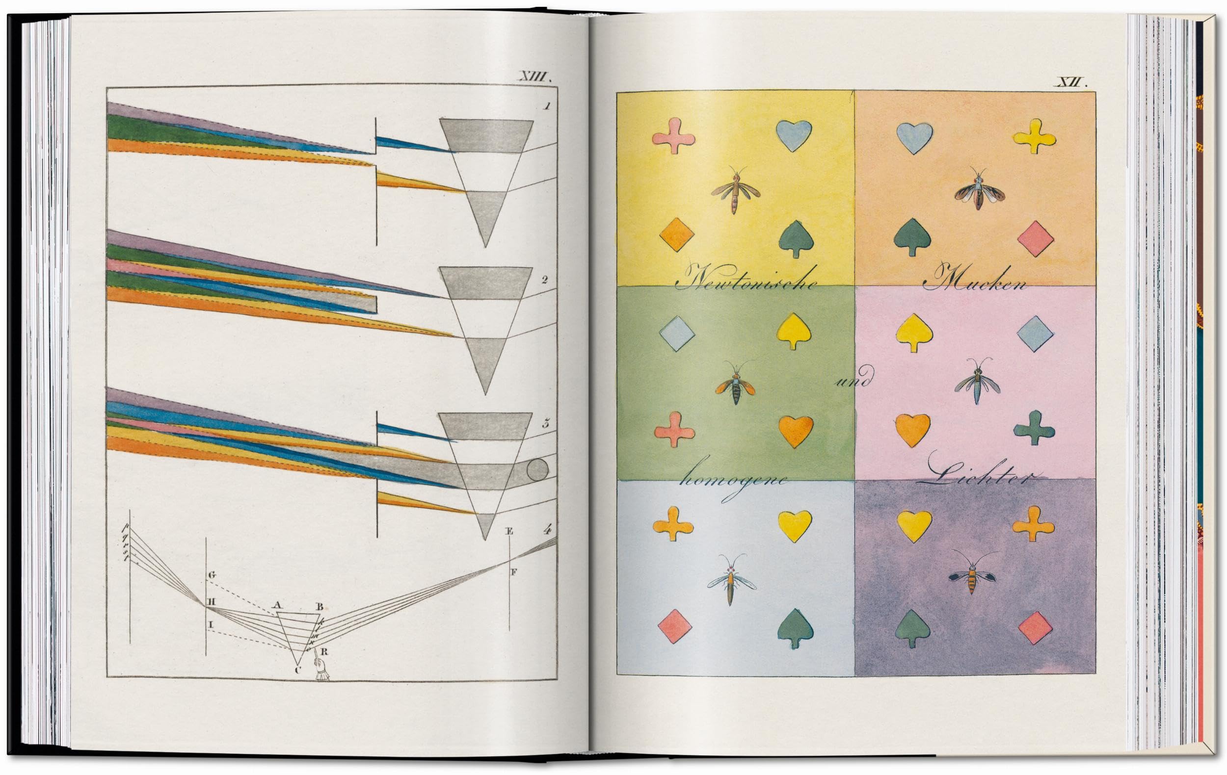 Colour Concepts: 45th Ed.