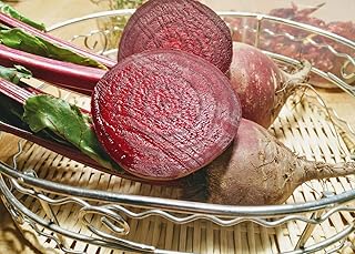 Hundredfold Organic Early Wonder Tall Top Beet 100 Vegetable Seeds - Beta vulgaris Non-GMO Heirloom Beetroot, Mircogreen, Baby Leaf, for Container, Yard or Garden Planting
