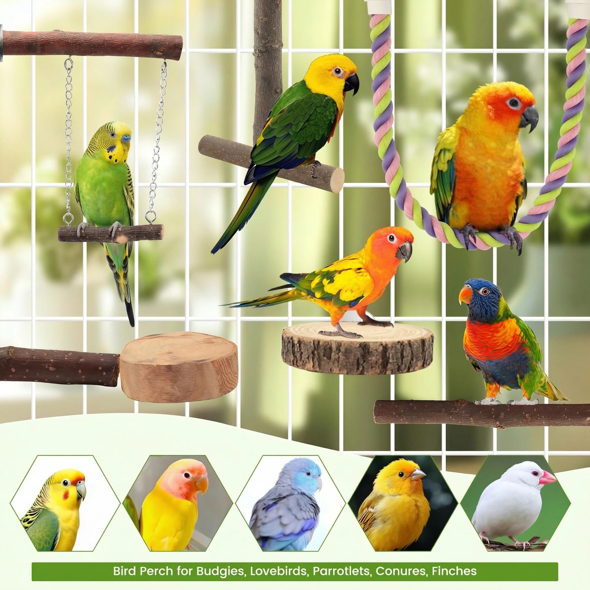 8PCS Natural Wood Bird Perches, Parrot Perch Stand & Chewing Toy with Multi-Branch & Rope, Cage Accessories for Parakeets, Conures, Cockatiels, Lovebirds, Budgies - image 7