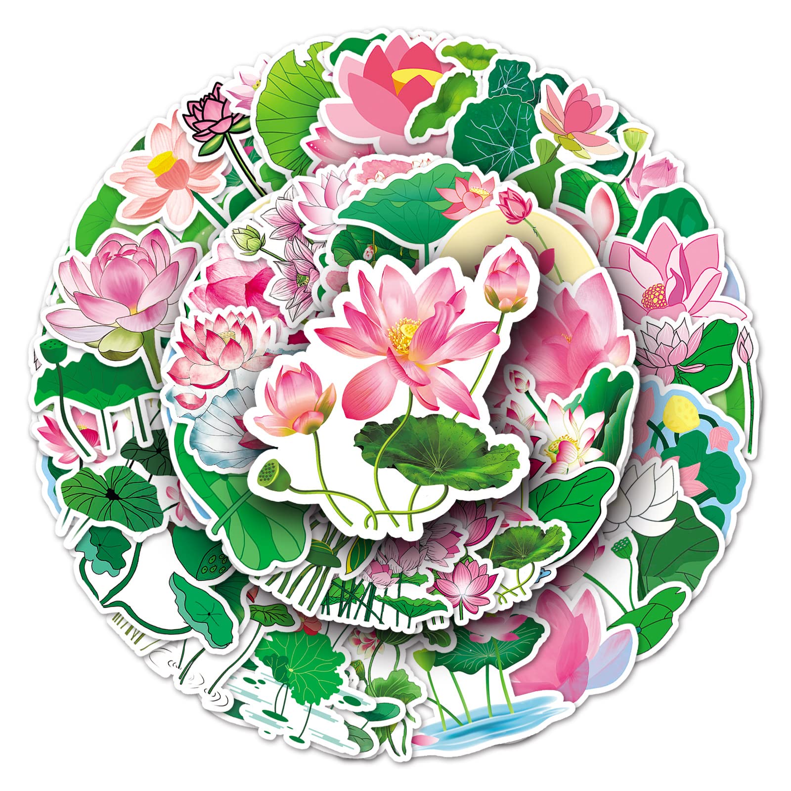 Amazon.co.jp: ハス 蓮 荷 藕 蓮華 睡蓮 水芙蓉 不語仙 池見草 水の花
