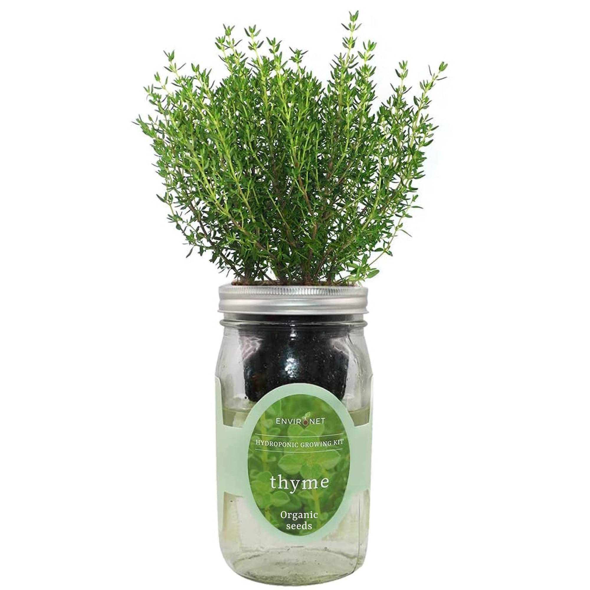 Kit de culture hydroponique d'herbes aromatiques, pot Mason auto-arrosant, kit de démarrage pour l'intérieur, fenêtre d'herbes et de jardin, cultivez vos propres herbes à partir de graines