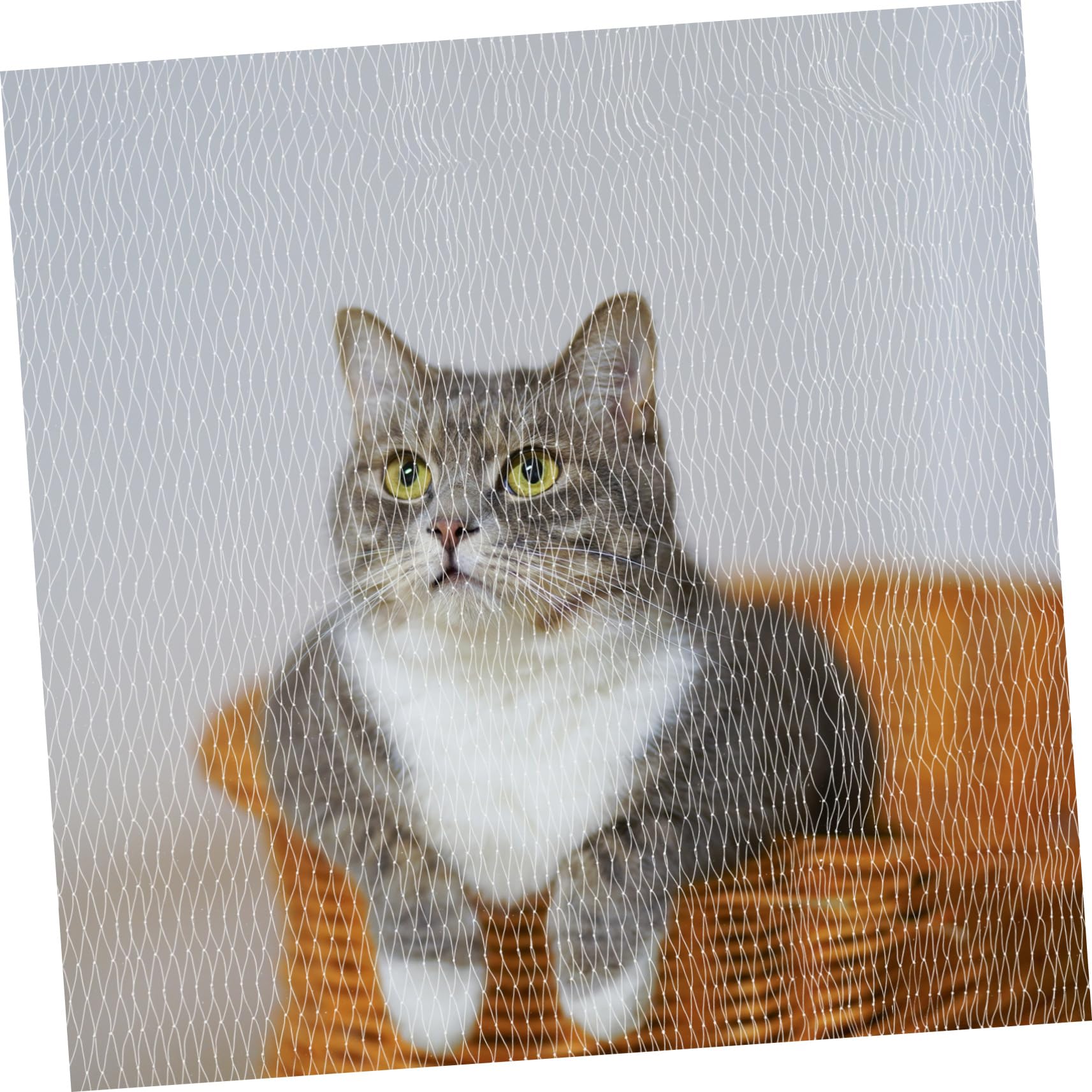 BESTonZON Rete Sicurezza per Balcone Rete Protezione per Animali Domestici per Animali Bianca