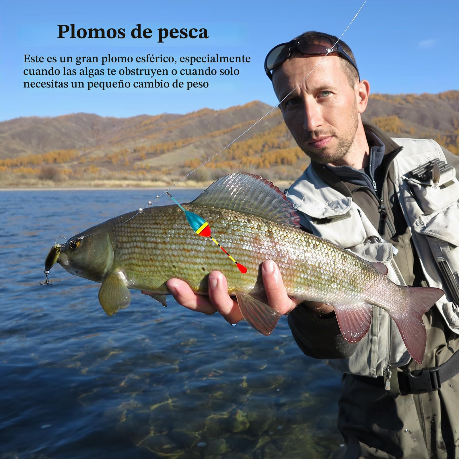 Boyas de Pesca Flotadores 100 Piezas Plomos Plomada con Caja Almacenamiento Trucha Lucio Carpa Perca