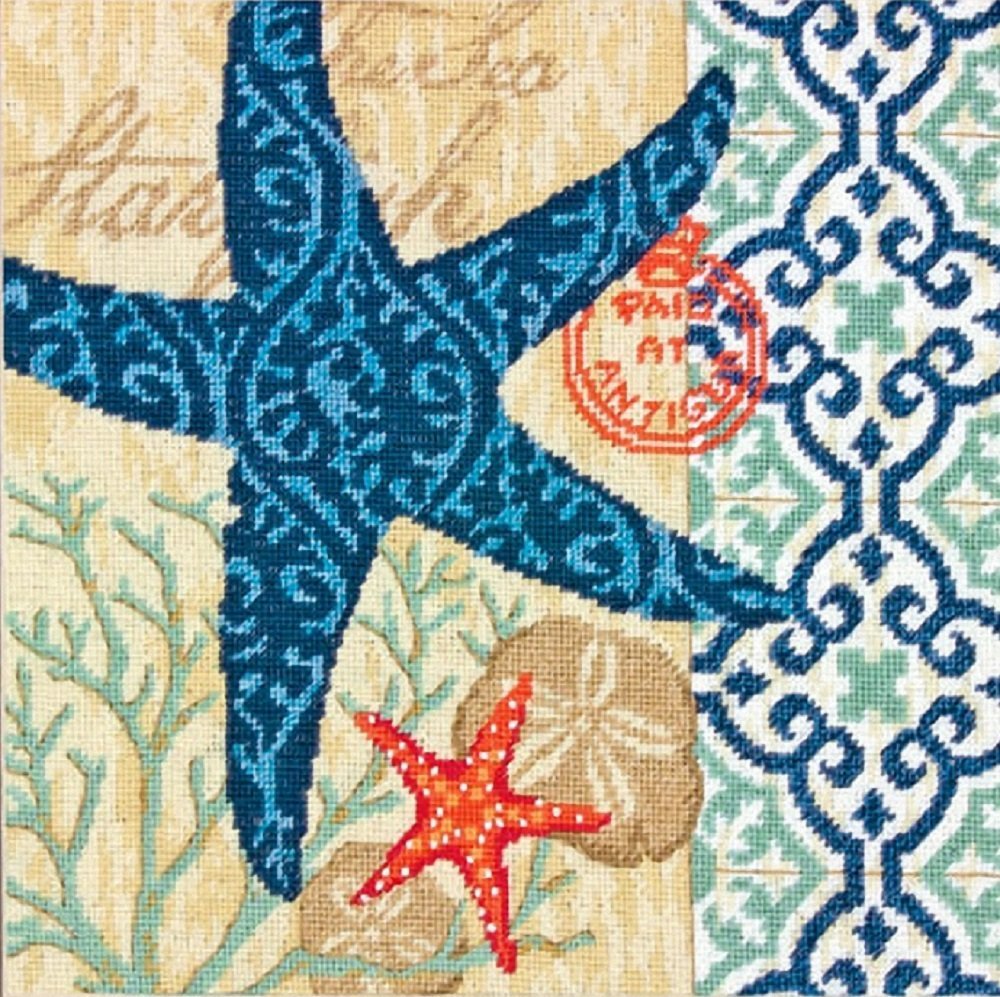 DIMENSIONS Dimensiones Aguja de Estrella de mar, Multicolor