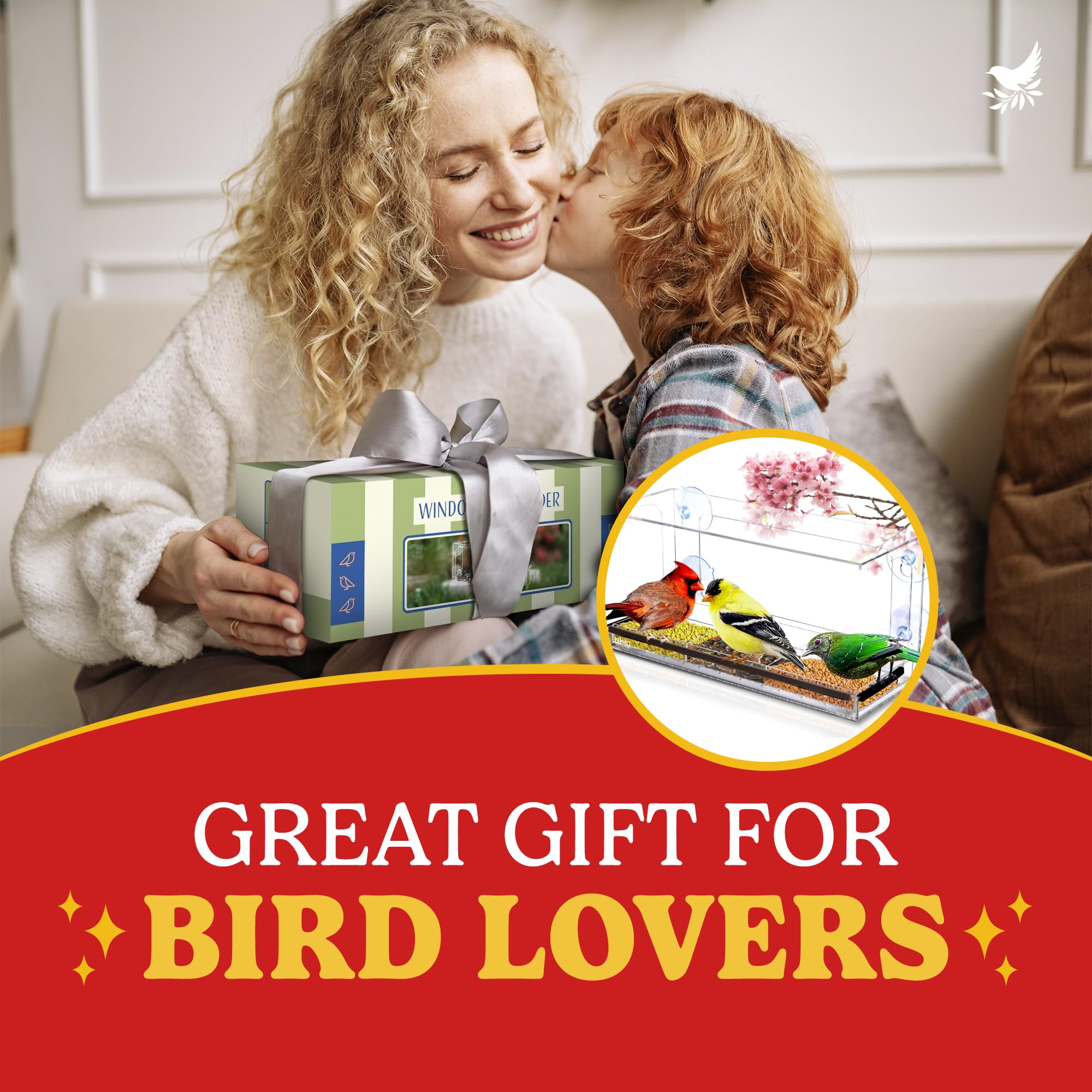 Comederos de pájaros de ventana para exteriores, comederos transparentes para pájaros con agujero, casa de pájaros transparente, regalos de observación de pájaros, comedero acrílico para gatos, niños