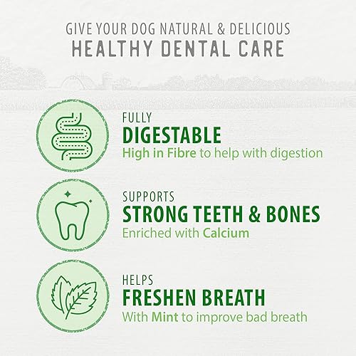 Miniatura 5 de Caledon Farms Value Pack - Plaque Busters Fresh 24.5 oz696 g (4cs) - 30 unidades