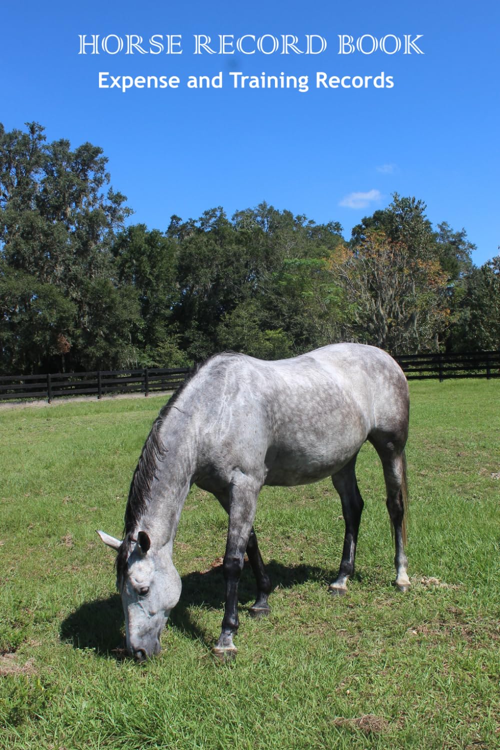 HORSE RECORD BOOK Expenses, Training and Showing Progress For 3 Horses