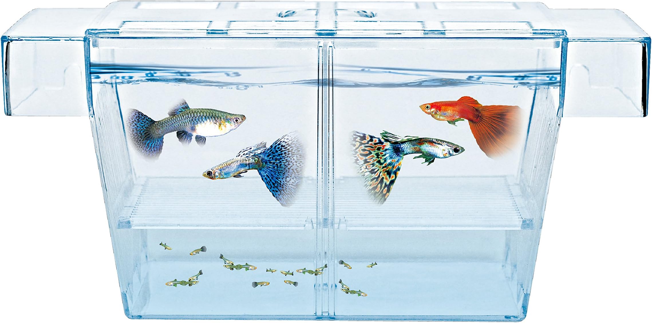 Aquarium Fish Tank Breeder Box BX-L