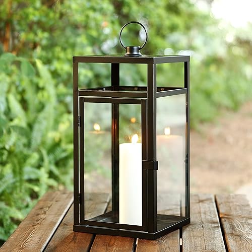 SAFAVIEH Lighting Collection Fraleigh - Farol decorativo para exteriores, color negro y transparente