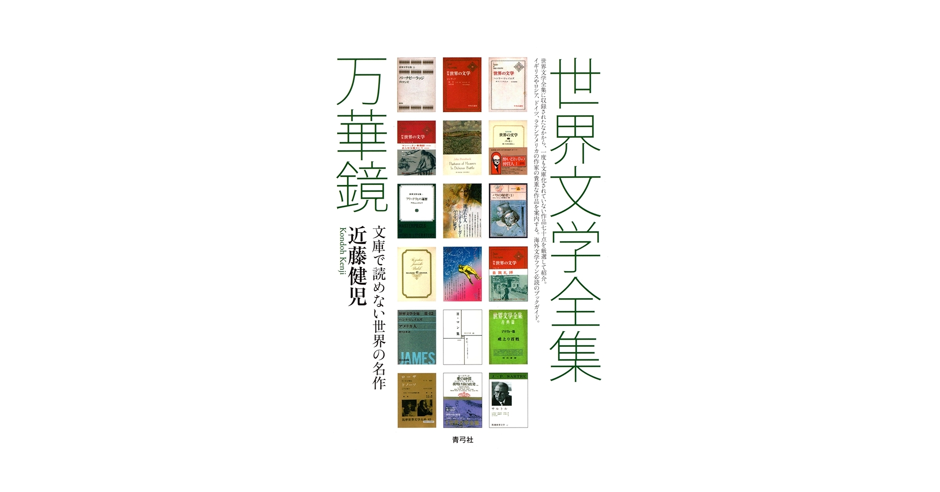 世界文学全集万華鏡: 文庫で読めない世界の名作 | 近藤 健児 |本
