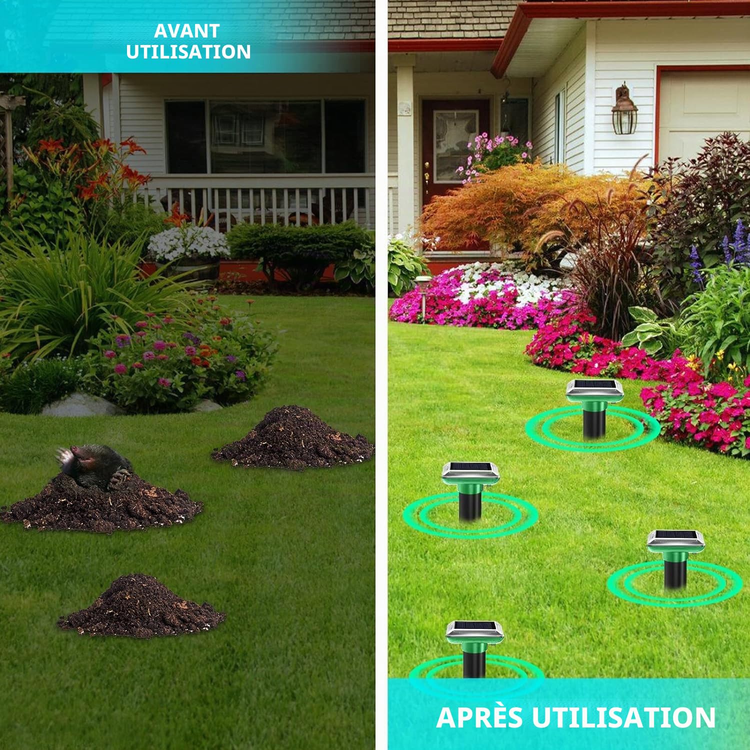 Lot de 6 répulsifs solaires anti-taupes - Répulsif contre les campagnols à ultrasons - IP66 étanche et résistant à la poussière - Pour pelouse et jardin - Vert