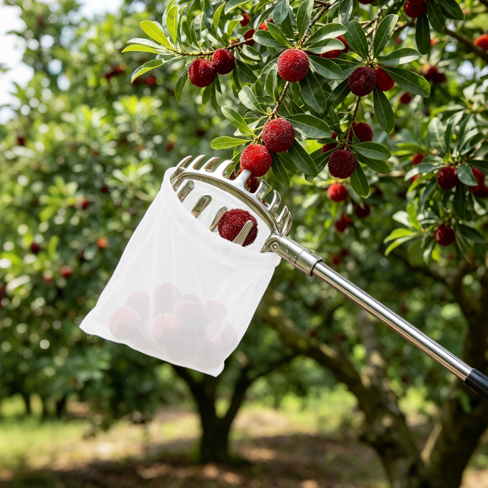 Obstpflücker 4.2M, Apfelpflücker mit Edelstahl Teleskopstiel und Stoff, Pflückhilfe Pflaumenpflücker Kirschenpflücker für Früchte außer Reichweite