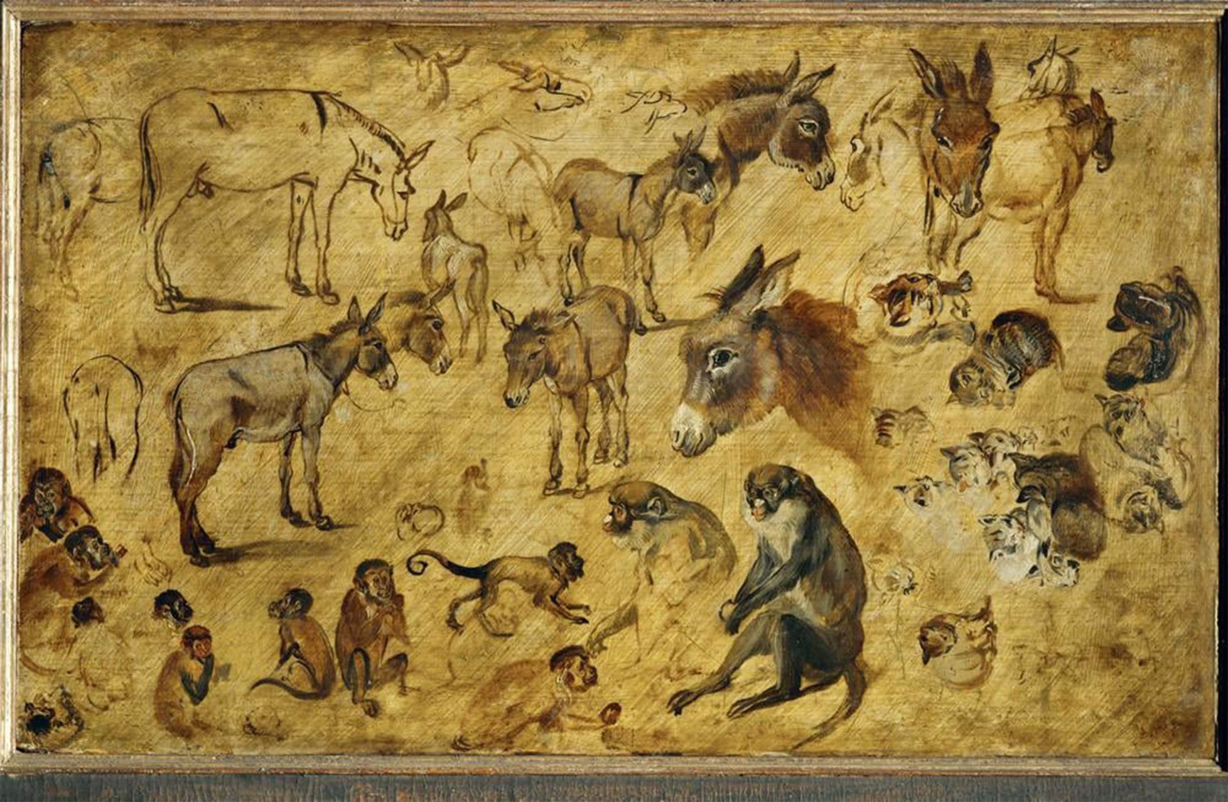 Toile Peinture Murale Tierstudien Jan Brueghel l'Ancien - Affiche Impression 60x90cm