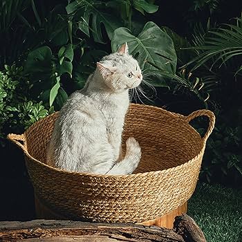 Amazon.co.jp: JISADER ネコベッド 猫の巣かご ペットベッド