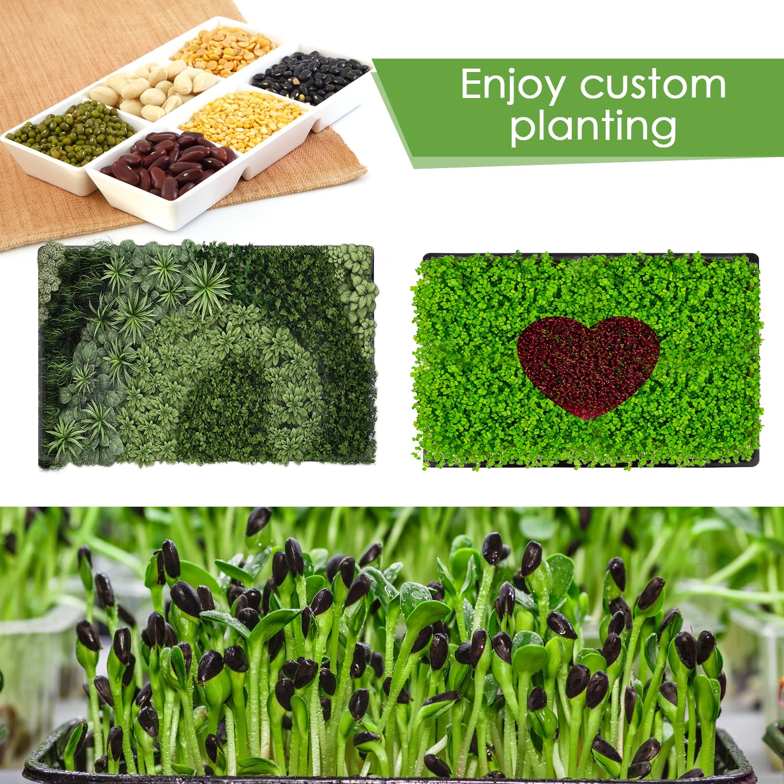 Paquete de 6 bandejas de cultivo de microgreens con 12 alfombrillas de cultivo de fibra de cáñamo para plantas, 15 x 11 x 2.5 pulgadas, kit de cultivo de semillas de jardín para plántulas, cultivo de