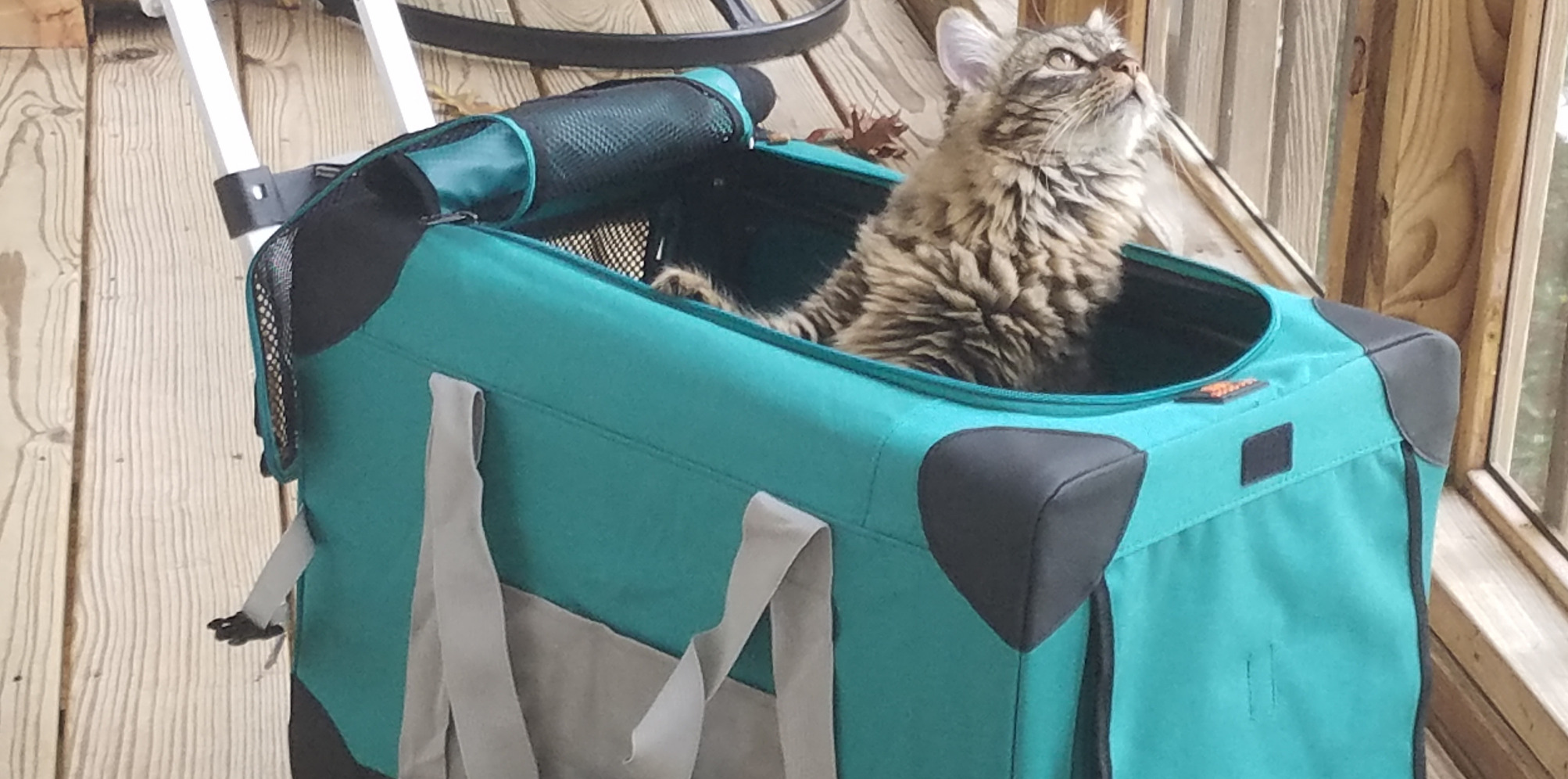 22/mo Finance ELEGX Extra Large Space for Up to (28 LBS35 LBS) Pet