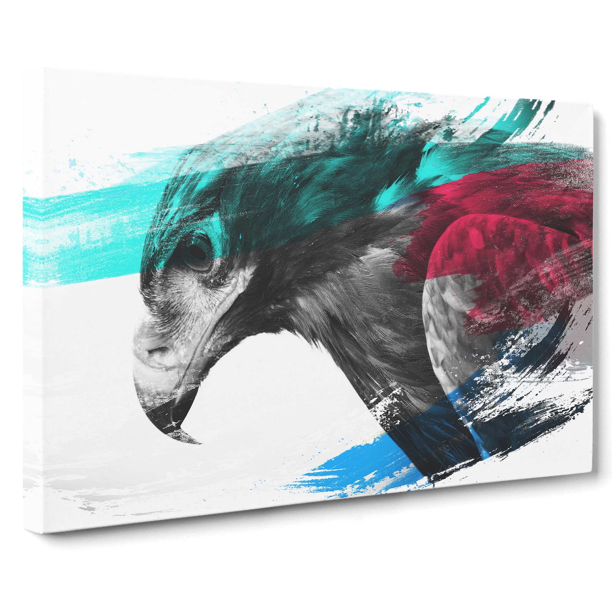 Eagle Bird No.3 V2 Canvas Print, Mixed, 25L x 50W cm