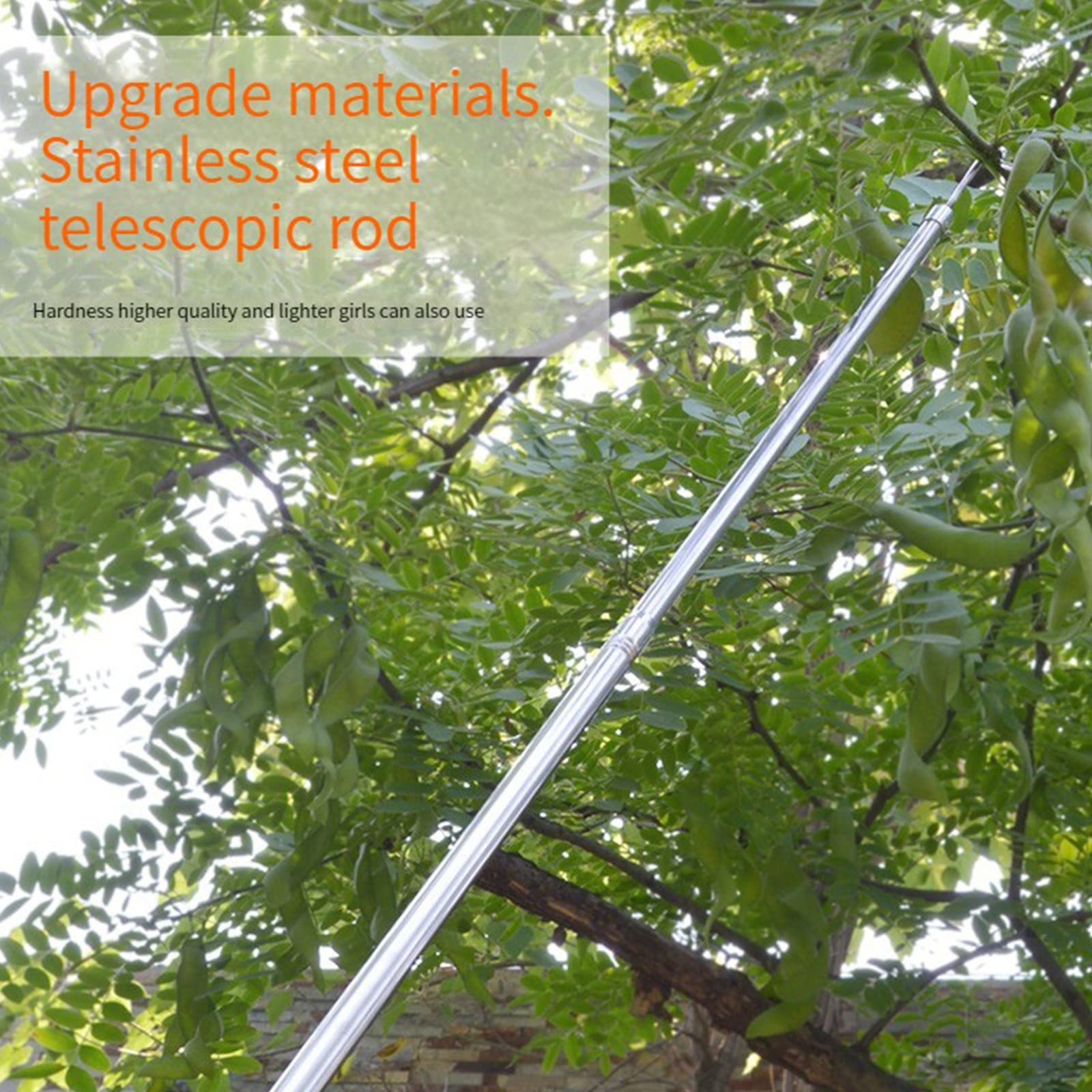 Teleskop-Obstpflücker mit Korb - Ausziehbare Stange für einfache Ernte, praktisches Werkzeug zum Erreichen von Früchten