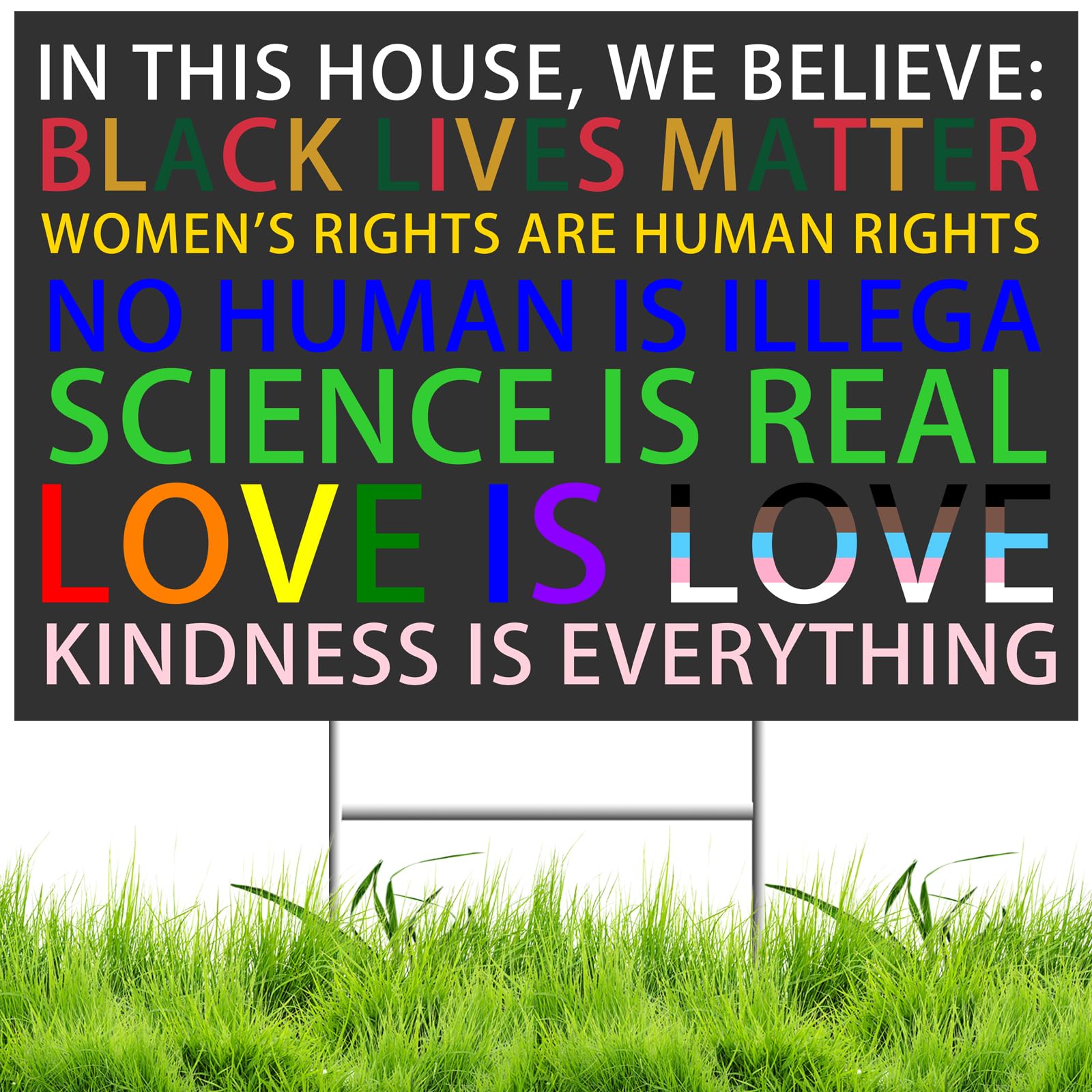 Anti-MAGA Yard Sign