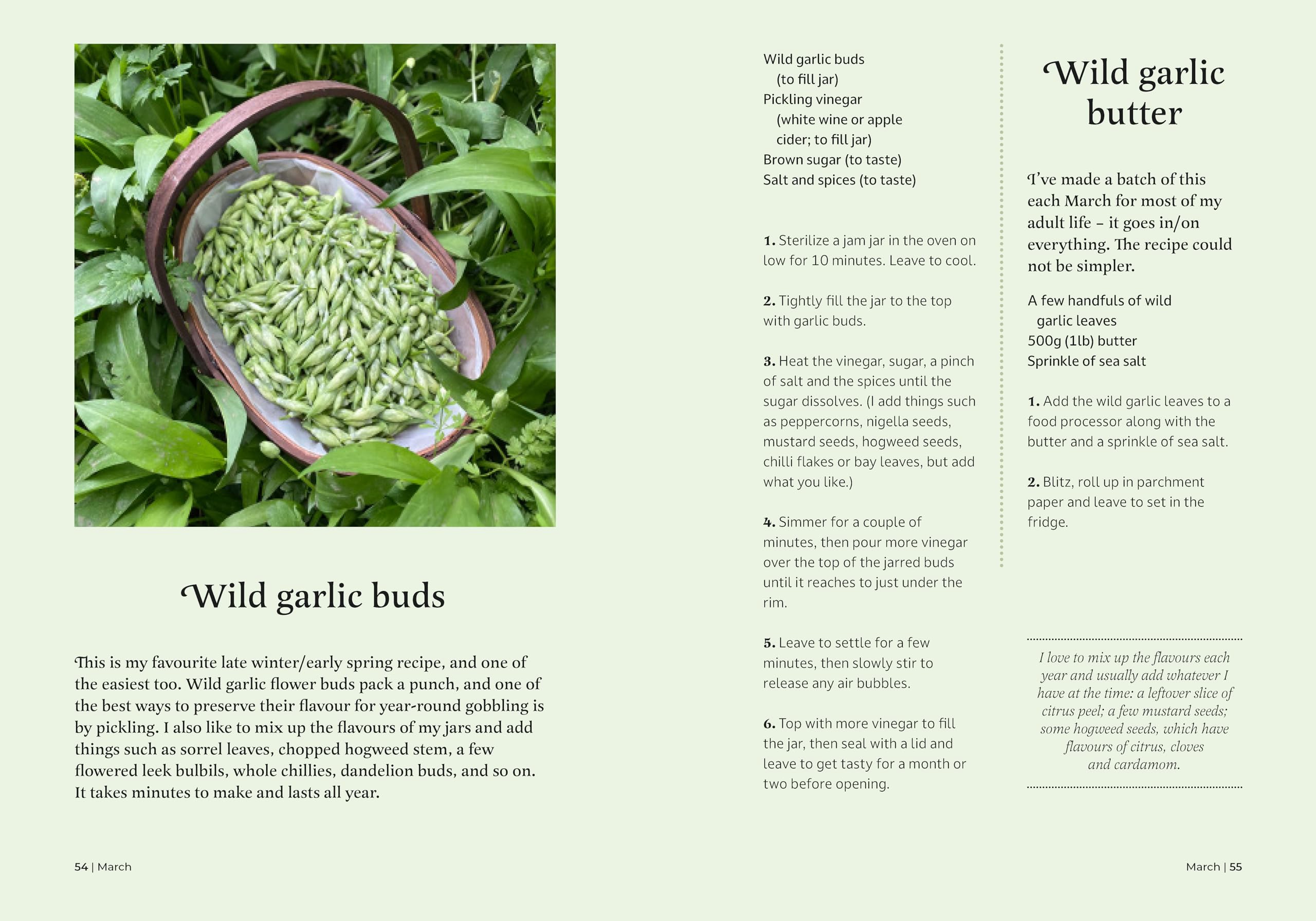 The Forager's Almanac: A year of sustainable foraging, wildcraft and recipes