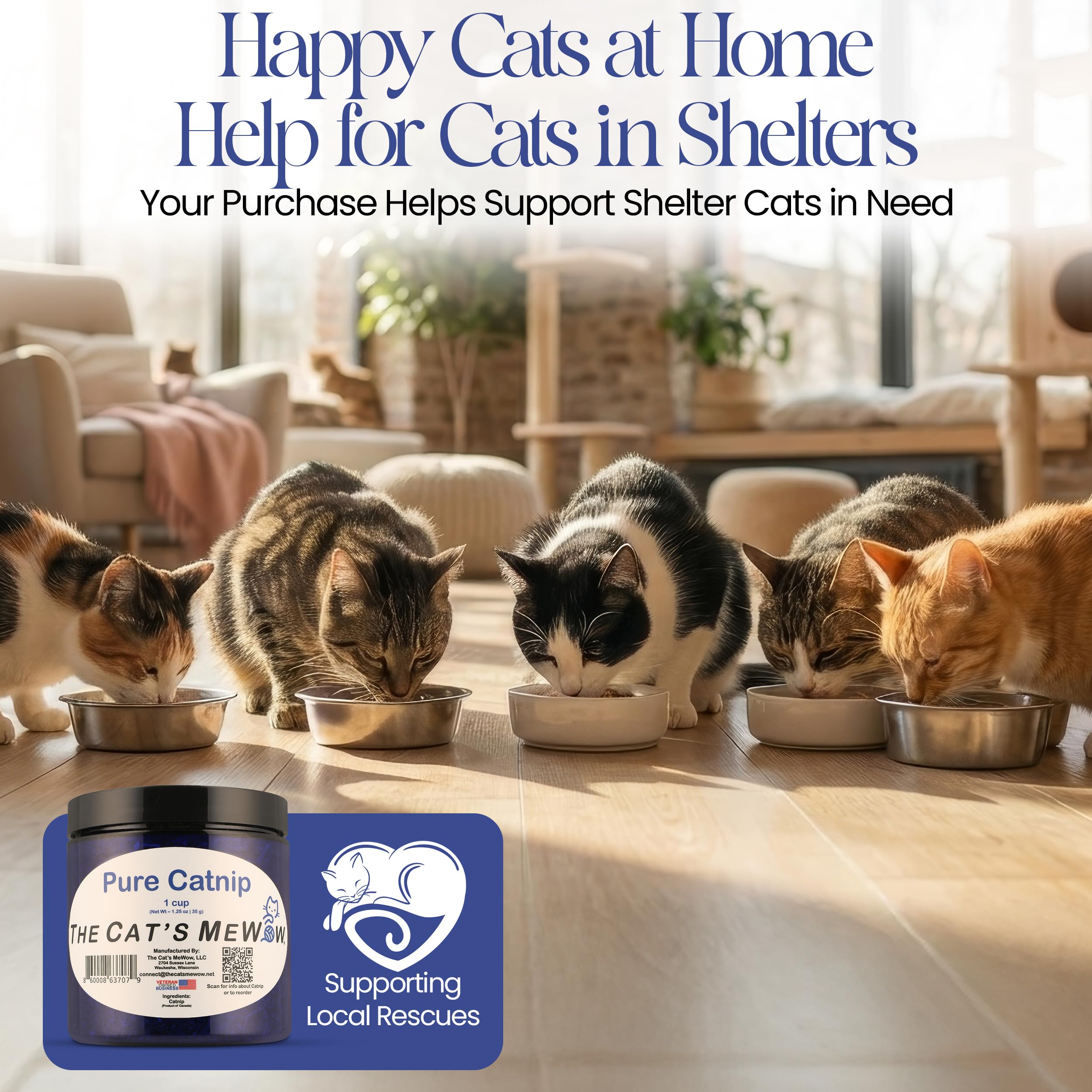 The Cat's MeWow Herbe à chat 100 % pure – Friandises naturelles et non addictives pour chats et chatons